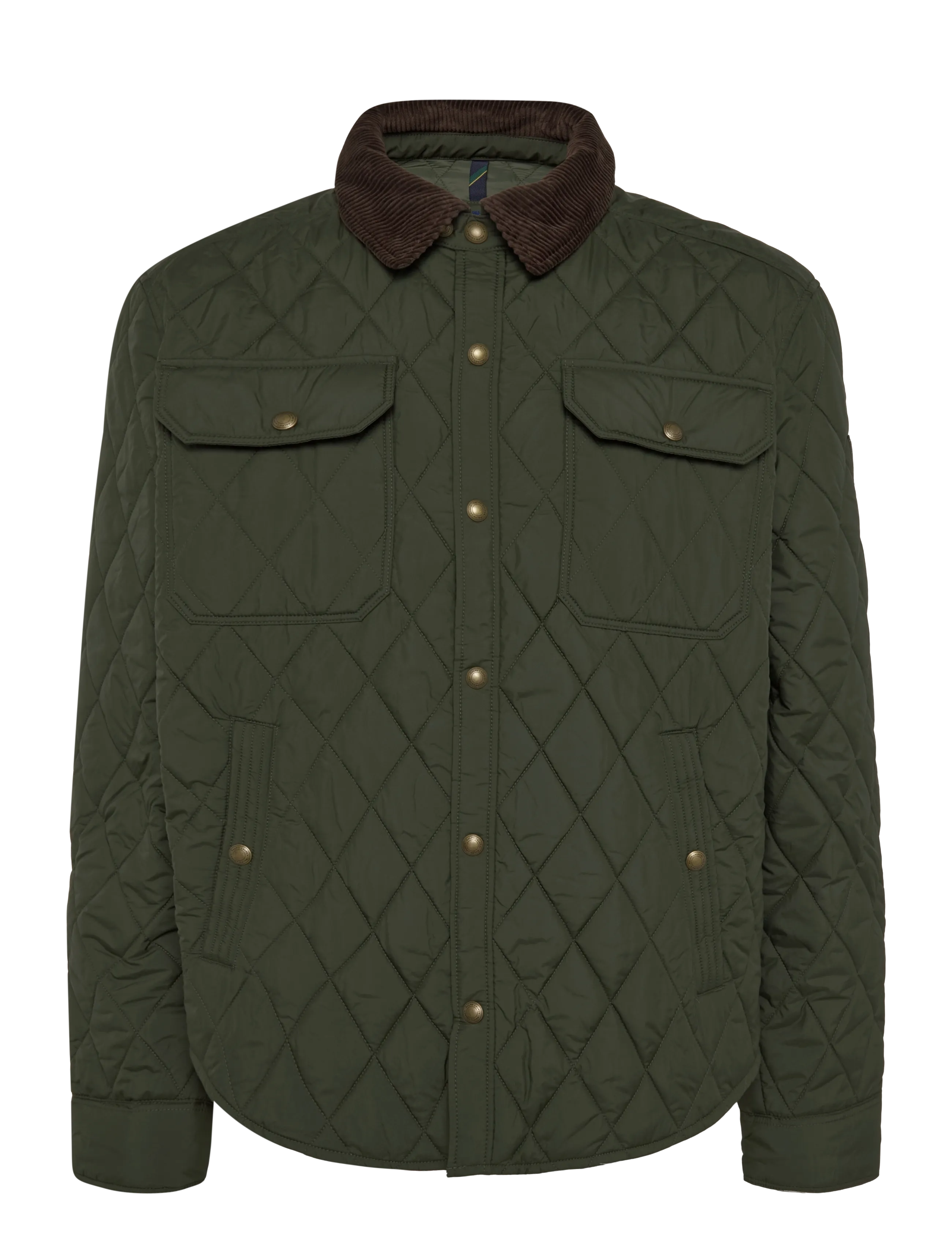 COMPANY OLIVE