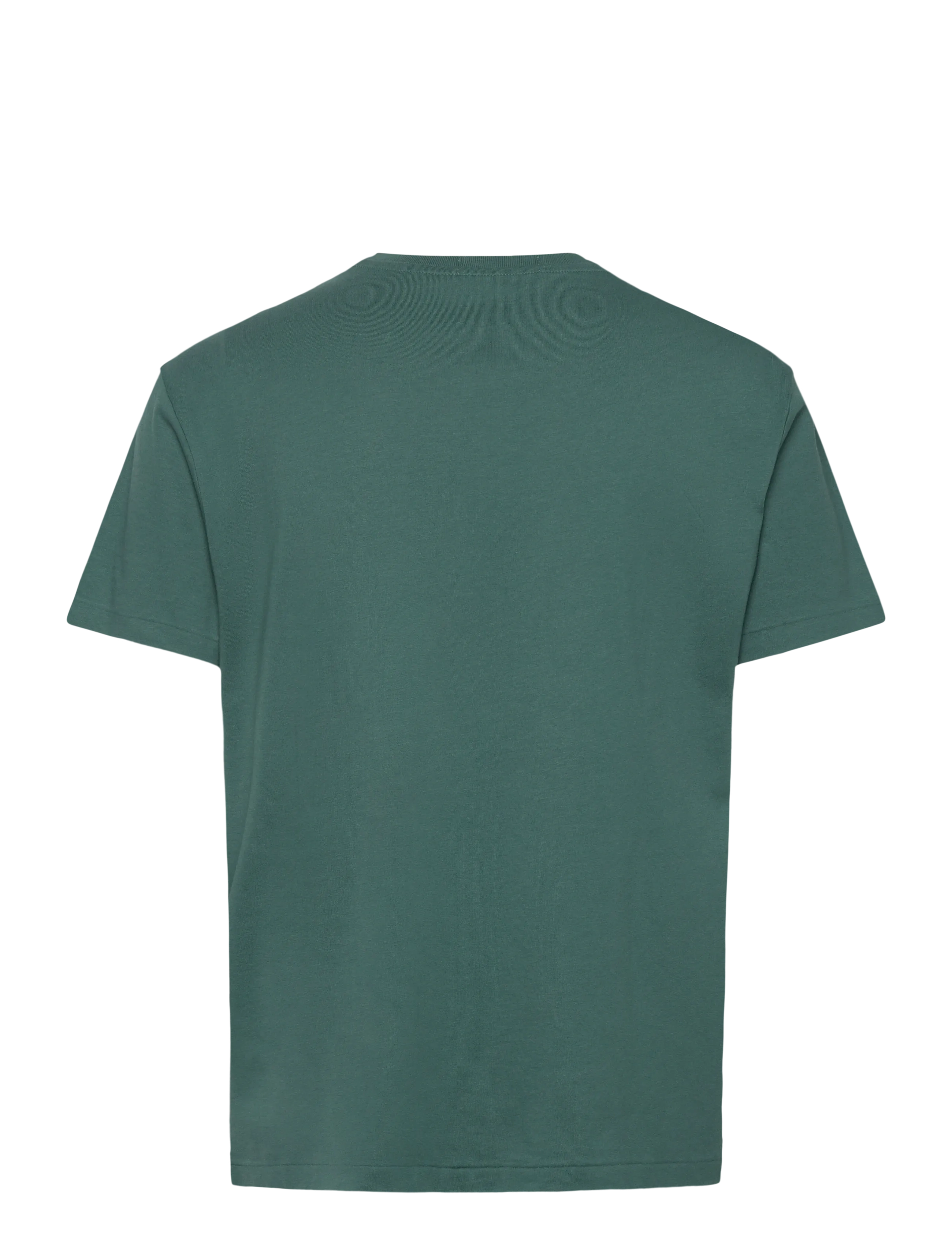 Polo Ralph Lauren - Classic Fit Logo Jersey T-Shirt - lühikeste varrukatega t-särgid - charter green - 2