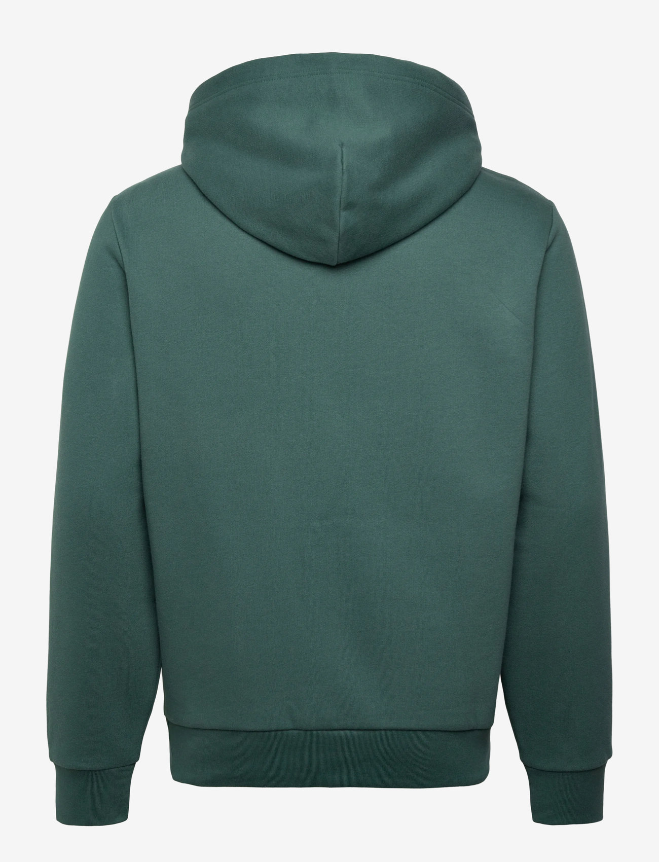 Polo Ralph Lauren - Logo Fleece Hoodie - hoodies - charter green - 1