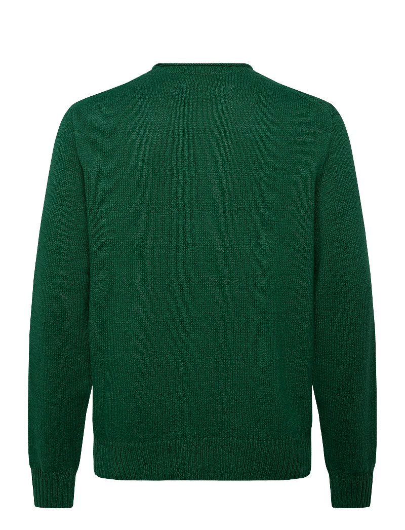 Polo Ralph Lauren - Polo Bear Roll-Neck Sweater - rund hals - new forest - 2