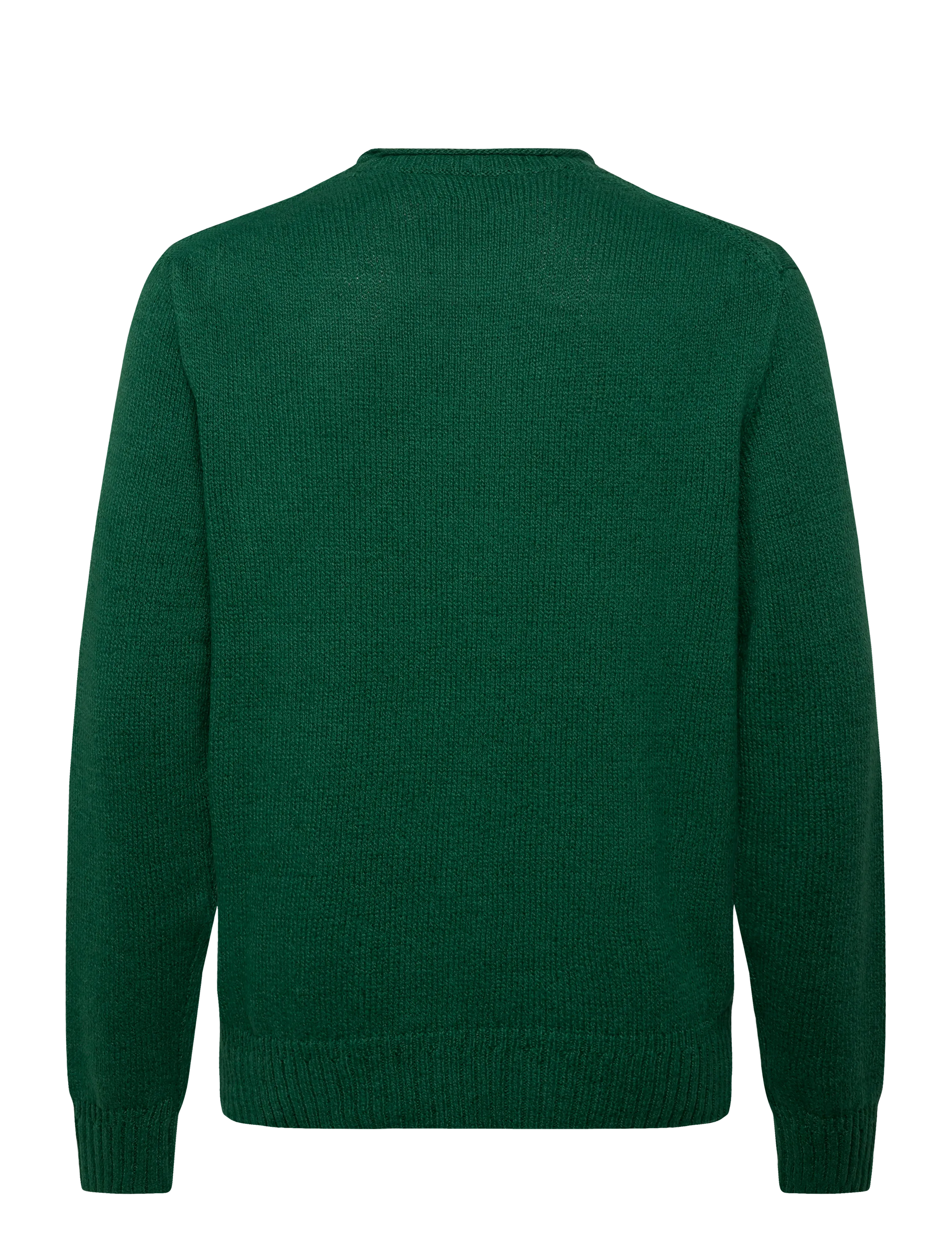 Polo Ralph Lauren - Polo Bear Roll-Neck Sweater - rundhals - new forest - 2