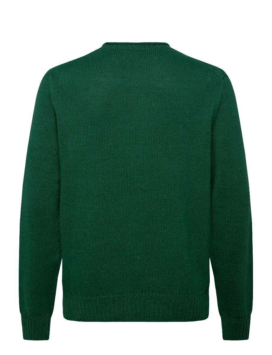 Polo Ralph Lauren - Polo Bear Roll-Neck Sweater - rundhals - new forest - 2