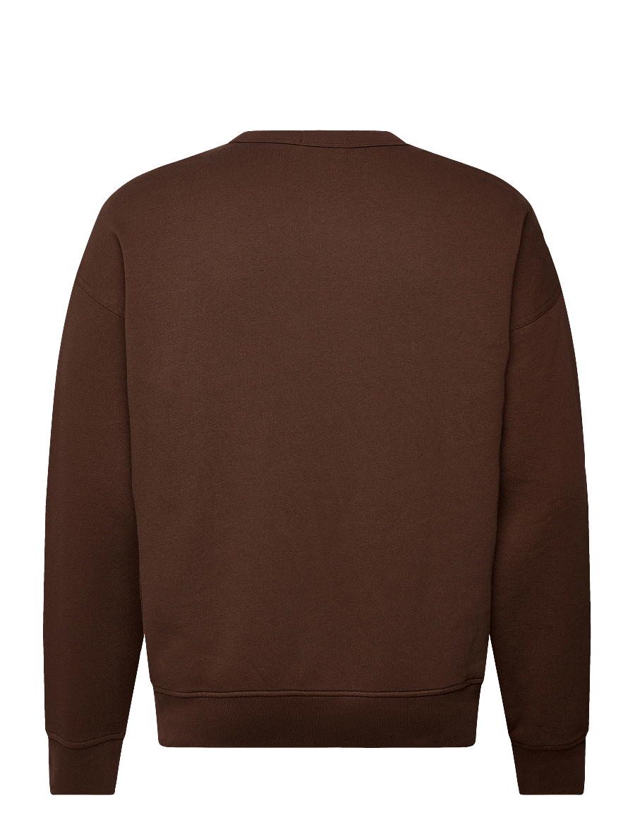 Polo Ralph Lauren - Relaxed Fit Fleece Graphic Sweatshirt - osta olukorra järgi - branch brown - 2