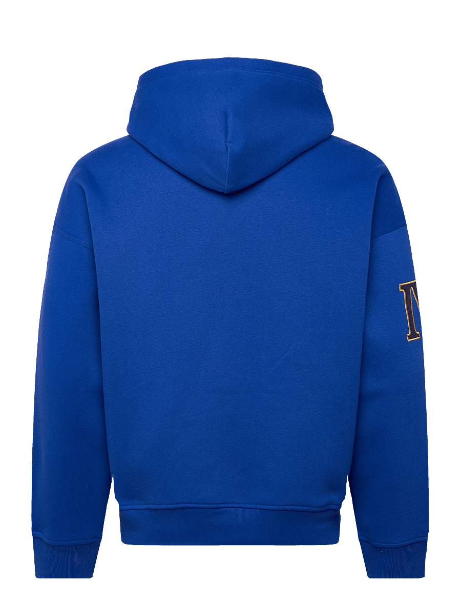 Polo Ralph Lauren - Relaxed Fit Heavyweight Fleece Hoodie - hoodies - new sapphire - 1