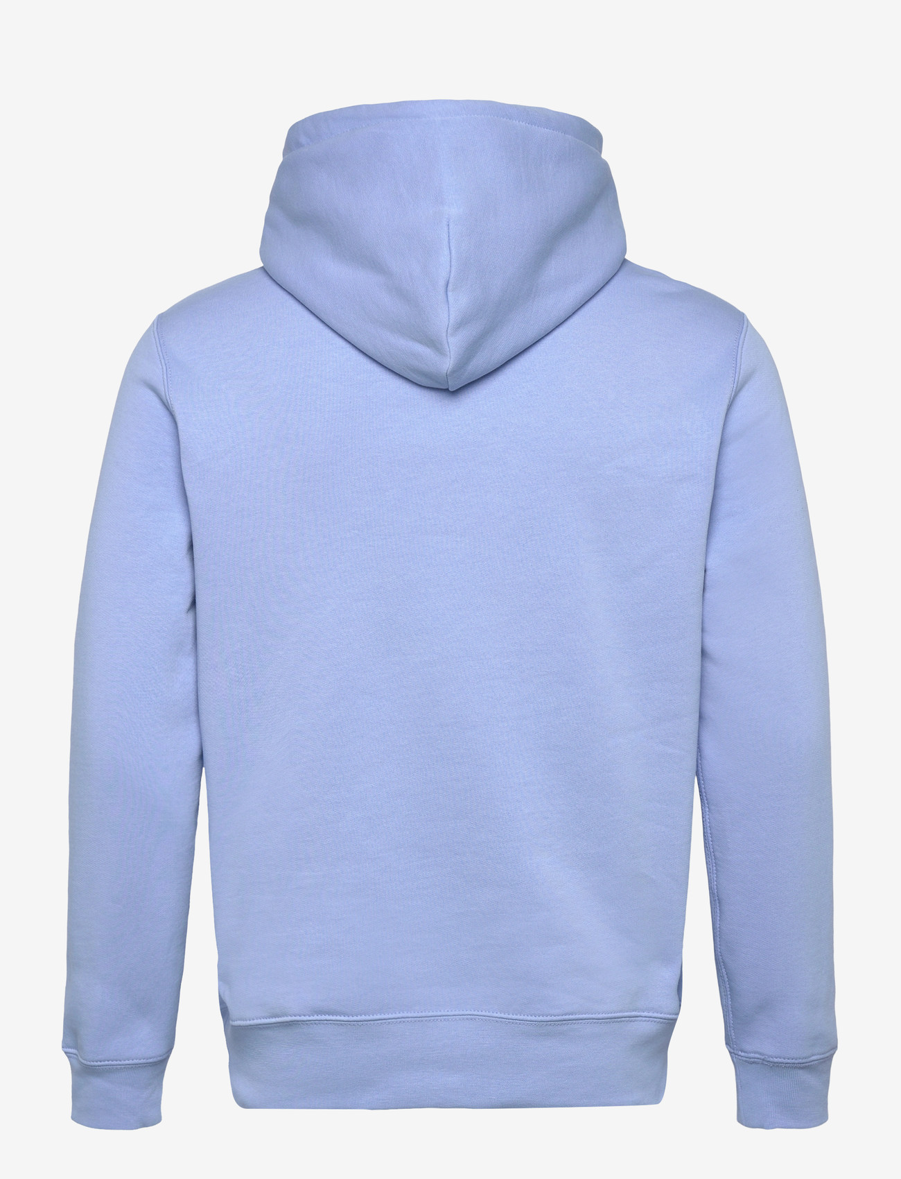 Polo Ralph Lauren - Polo Bear Fleece Hoodie - kapuzenpullover - austin blue- summ - 1