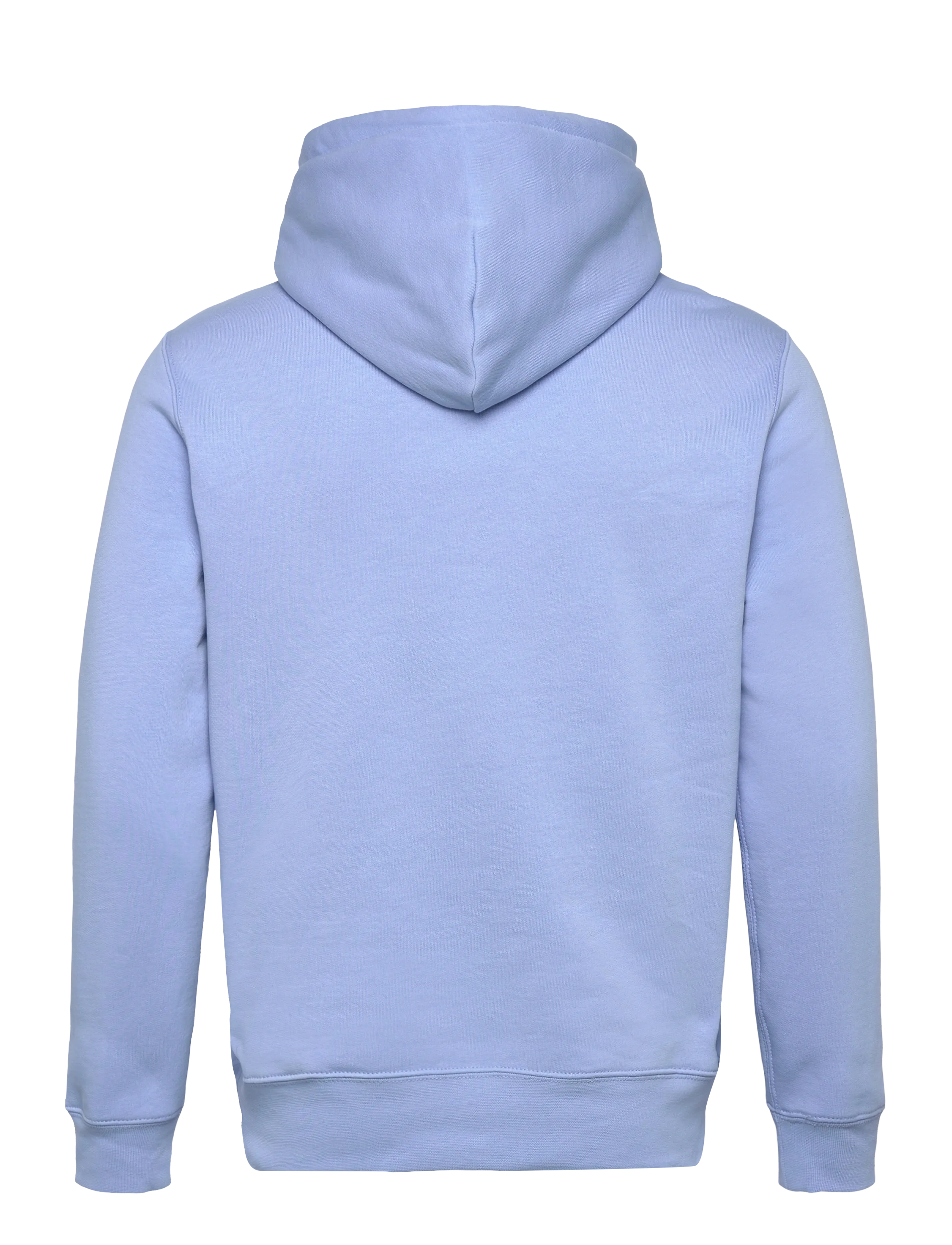 Polo Ralph Lauren - Polo Bear Fleece Hoodie - hættetrøjer - austin blue- summ - 1