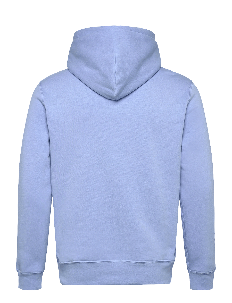 Polo Ralph Lauren - Polo Bear Fleece Hoodie - austin blue- summ - 1