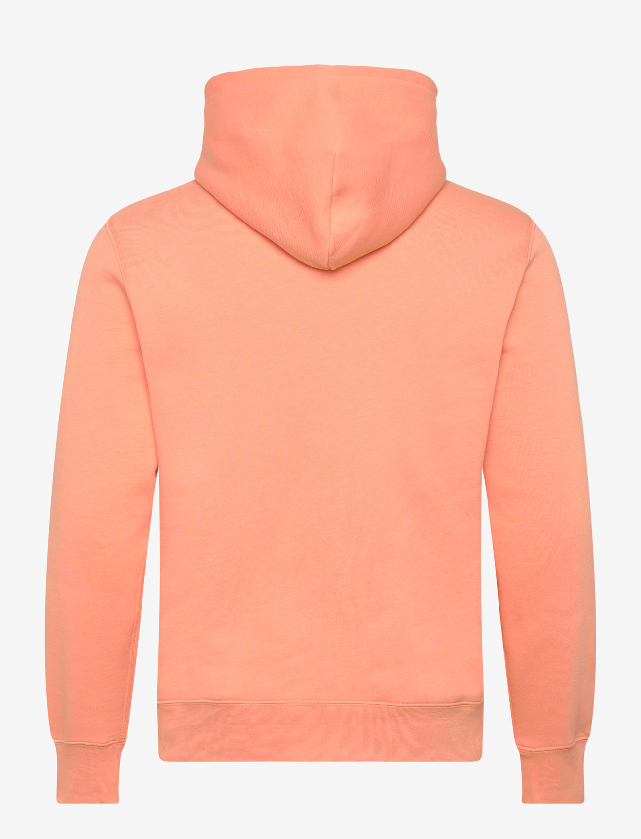 Polo Ralph Lauren - Polo Bear Fleece Hoodie - hoodies - poppy-summer bear - 1