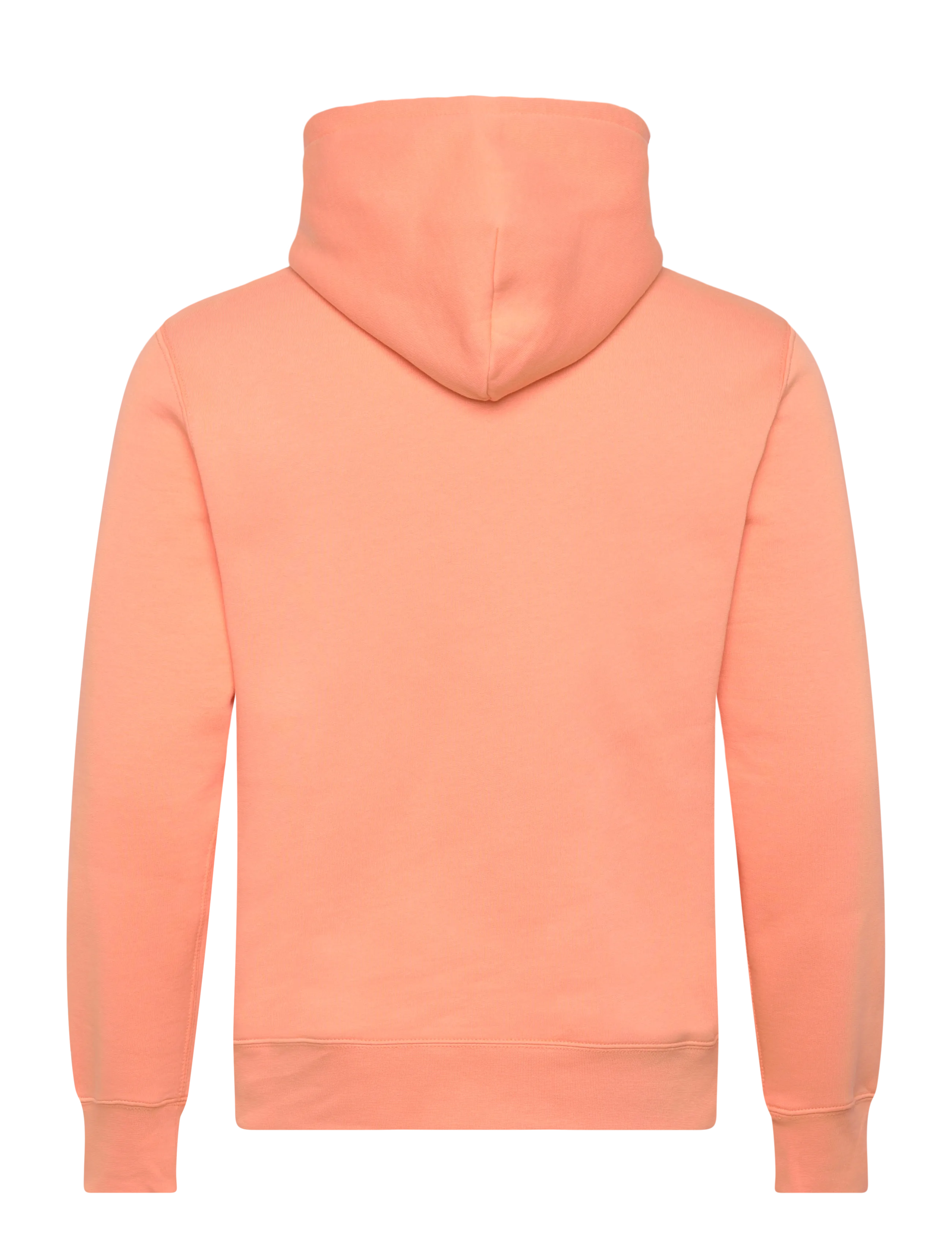 Polo Ralph Lauren - Polo Bear Fleece Hoodie - sweats à capuche - poppy-summer bear - 2