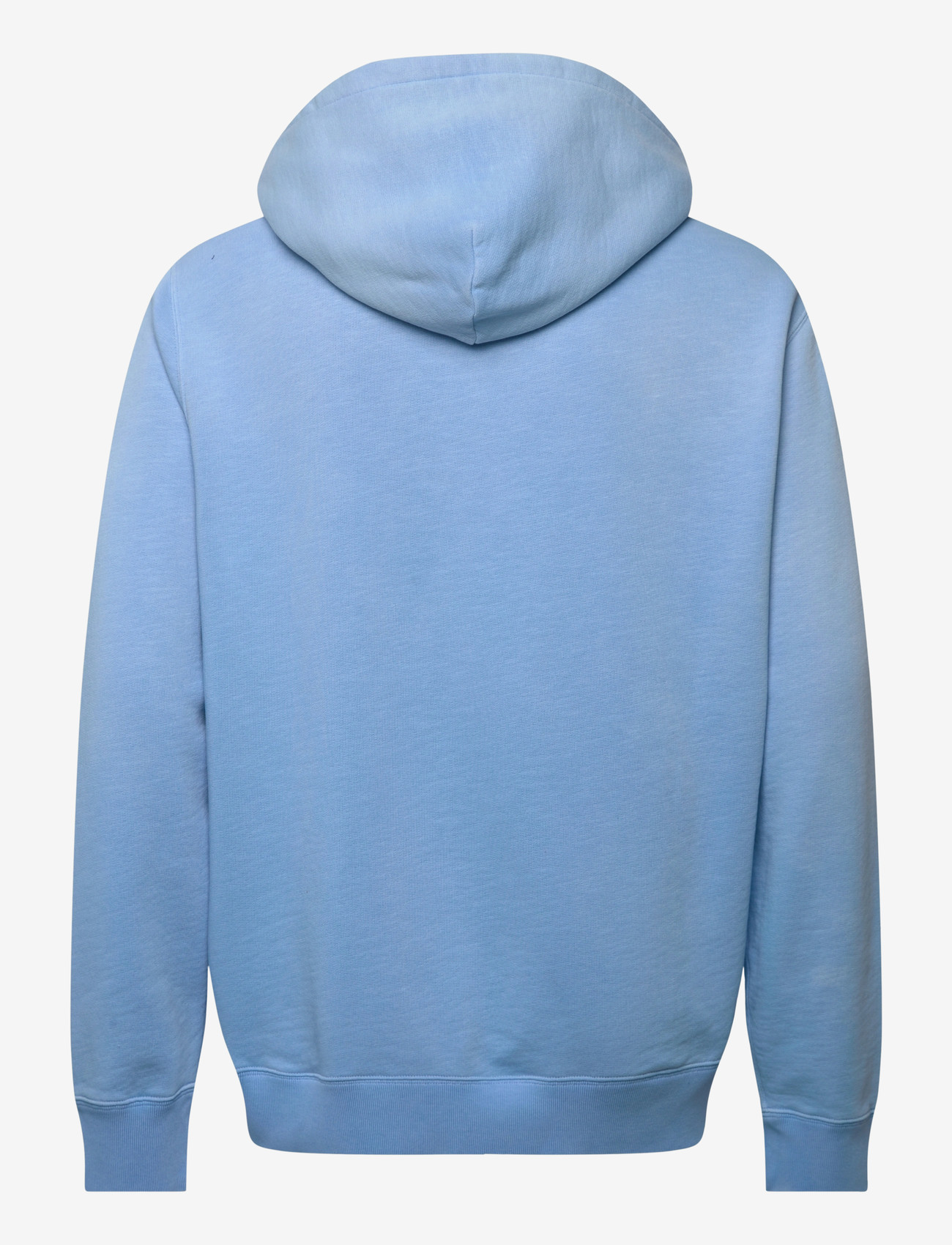 Polo Ralph Lauren - Polo Bear Fleece Hoodie - hoodies - chambray blue-den - 1