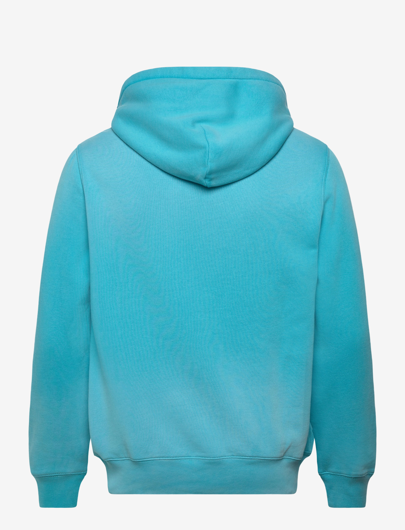 Polo Ralph Lauren - Polo Bear Fleece Hoodie - kapuzenpullover - perfect turquoise - 1