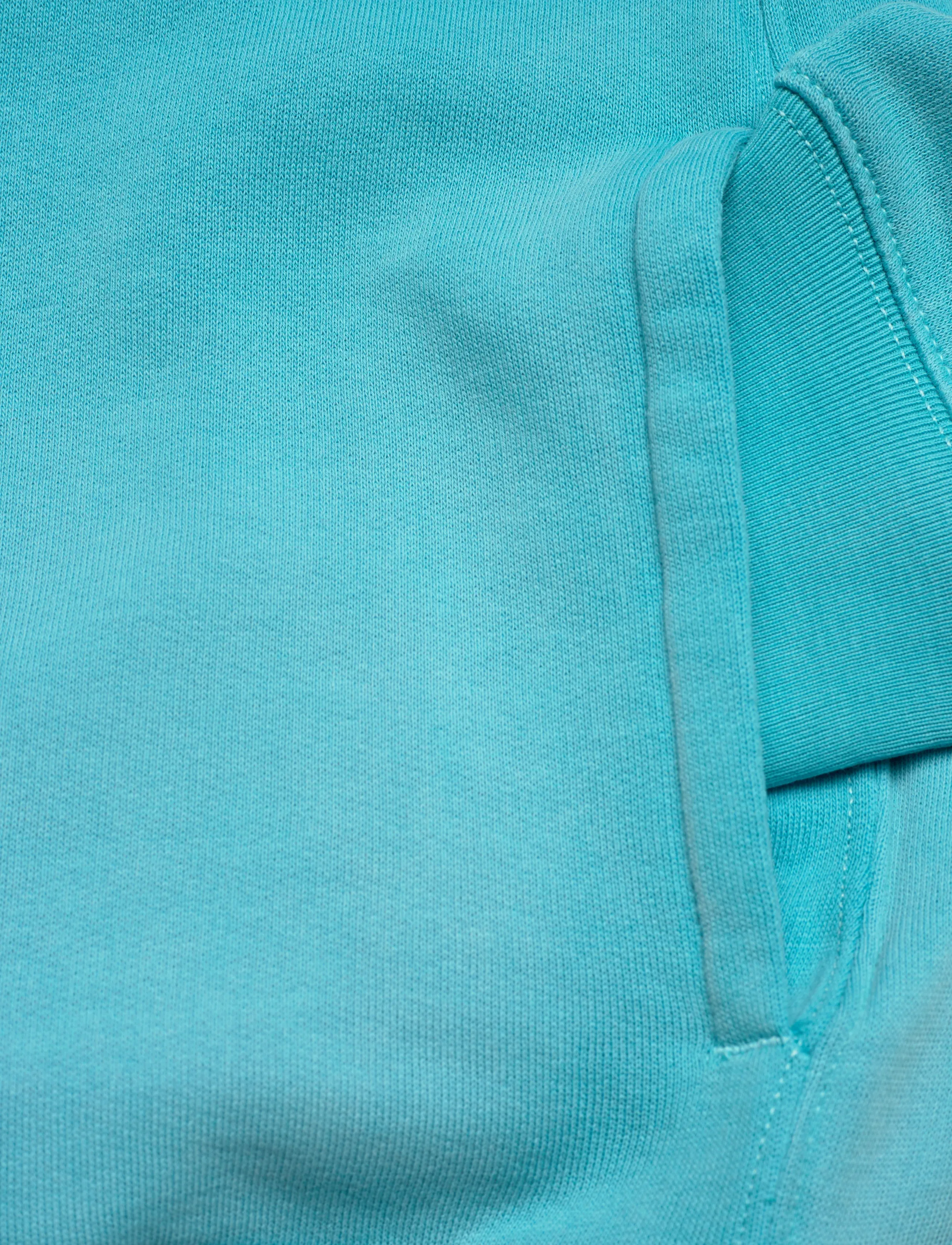 Polo Ralph Lauren - SEASONAL FLEECE-KNT-SWEATSHIRT - sweatshirts - perfect turquoise - 5