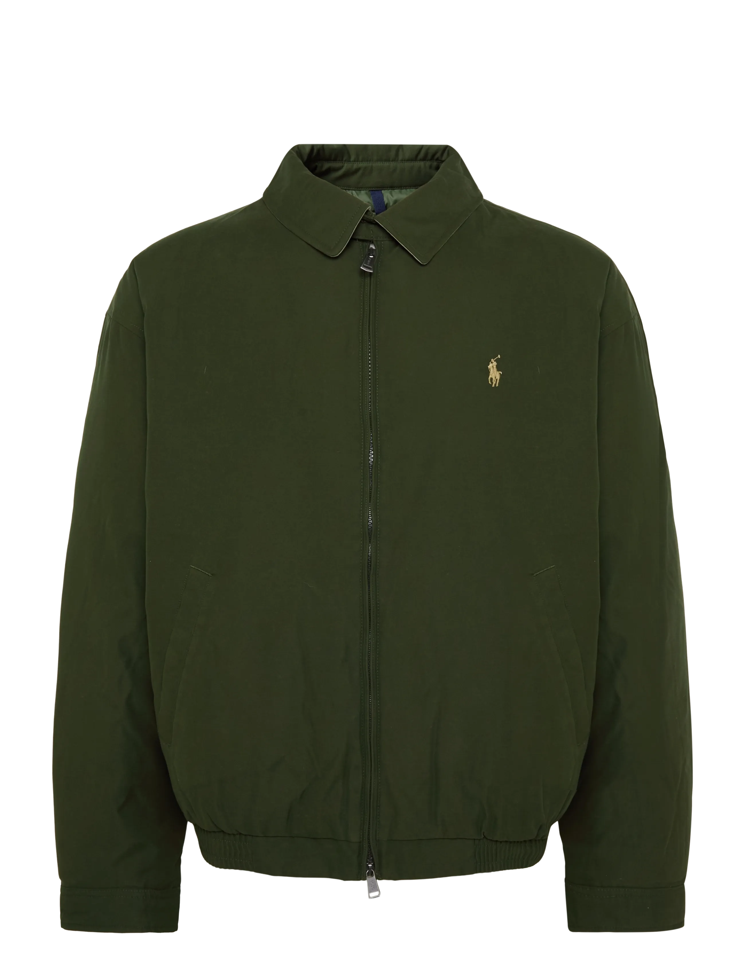 COMPANY OLIVE
