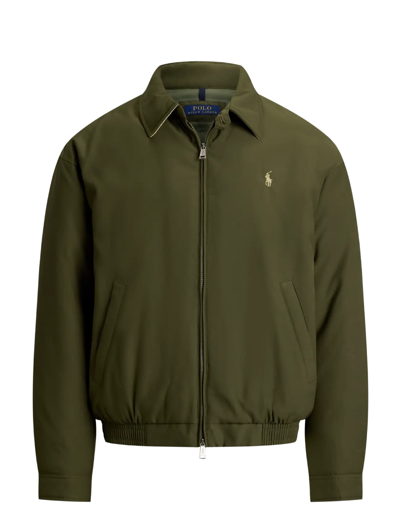 COMPANY OLIVE