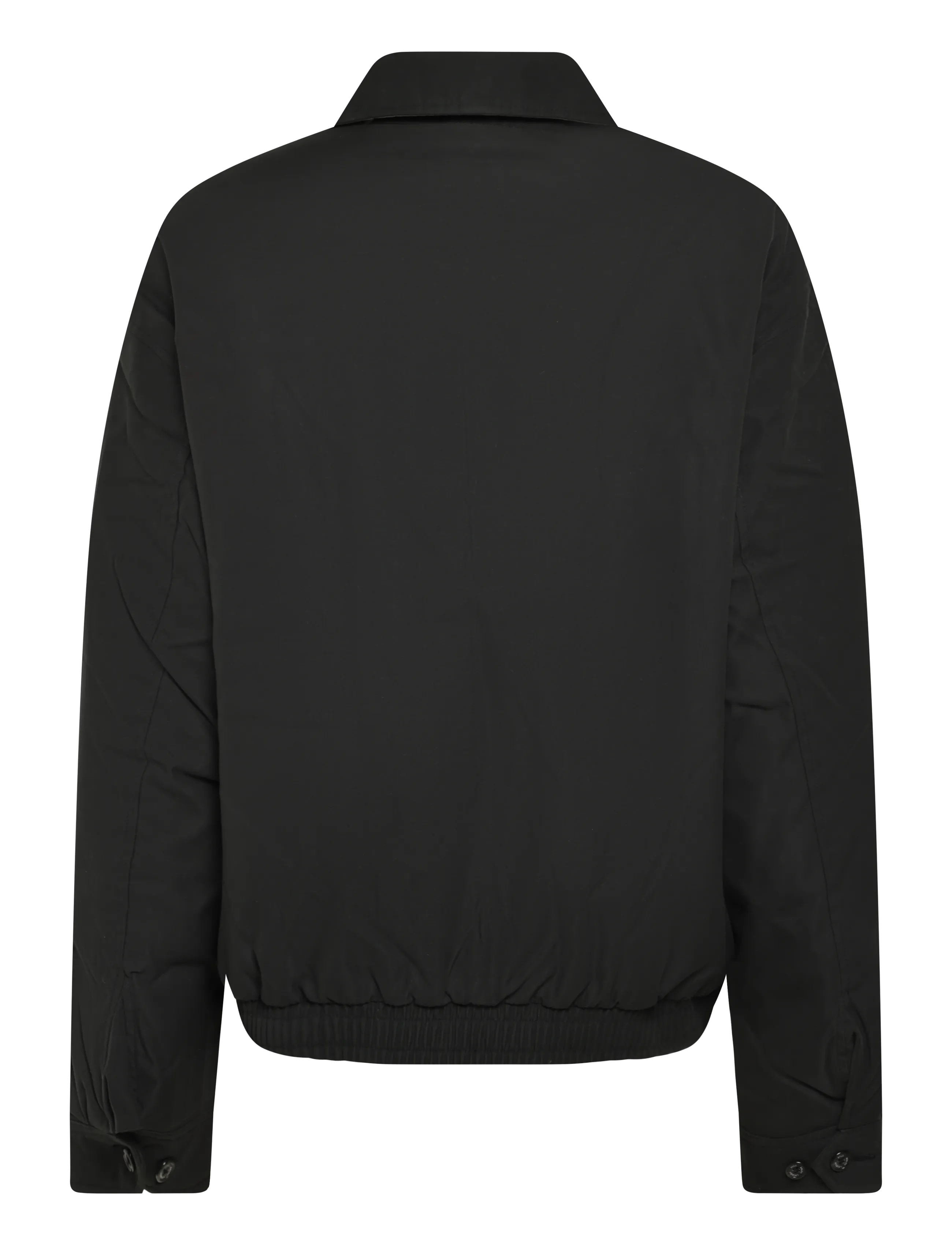 Polo Ralph Lauren - Down Jacket - voodriga jakid - rl black - 2
