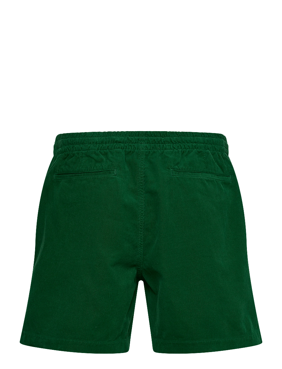 Polo Ralph Lauren - 6-Inch Polo Prepster Corduroy Short - vabaaja lühikesed püksid - new forest - 1