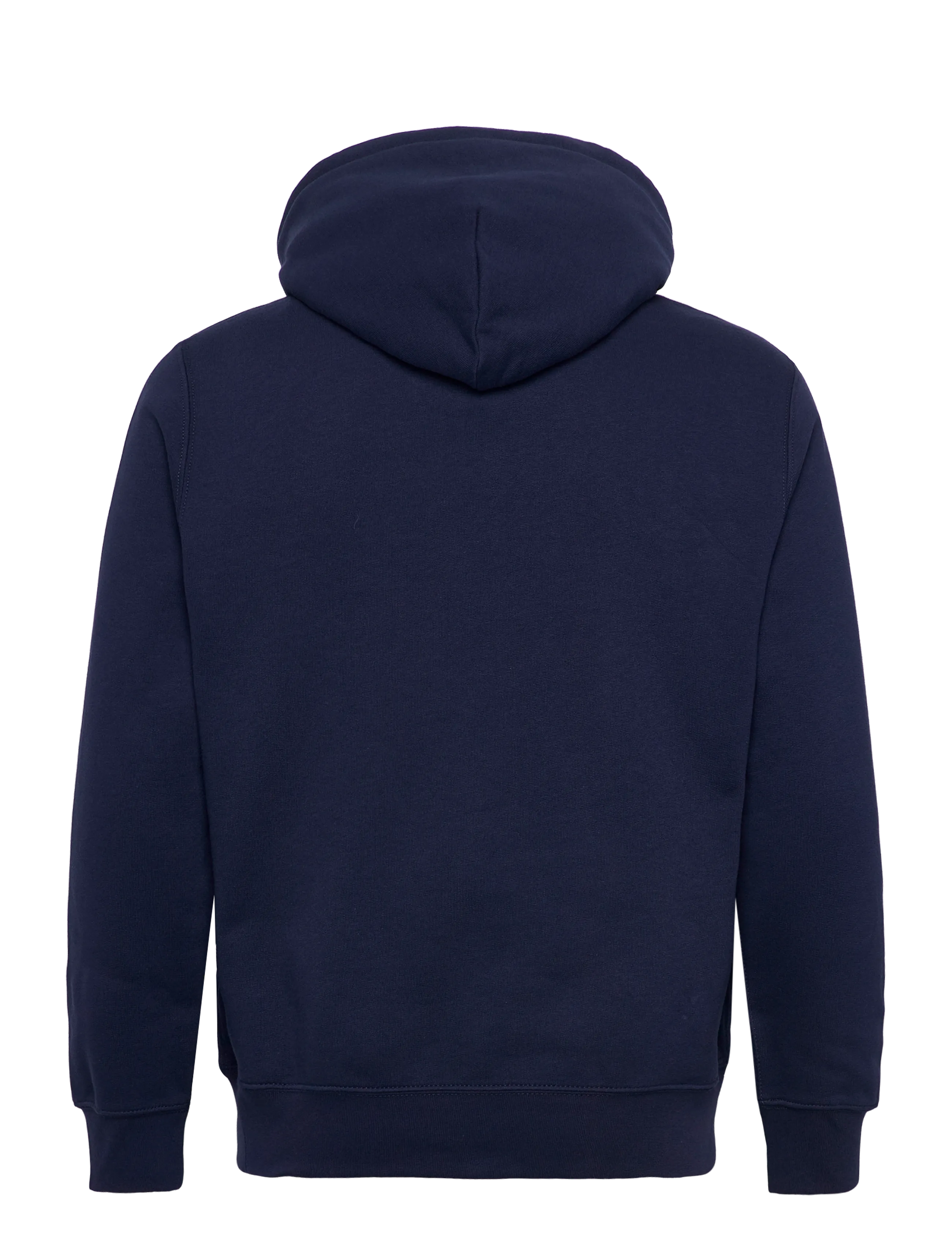 Polo Bear Fleece Hoodie 2