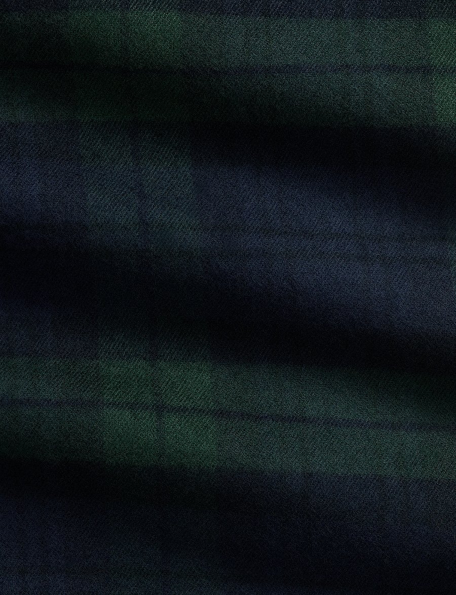 Polo Ralph Lauren - Classic Fit Plaid Flannel Workshirt - flannel shirts - 7389 navy forest - 1