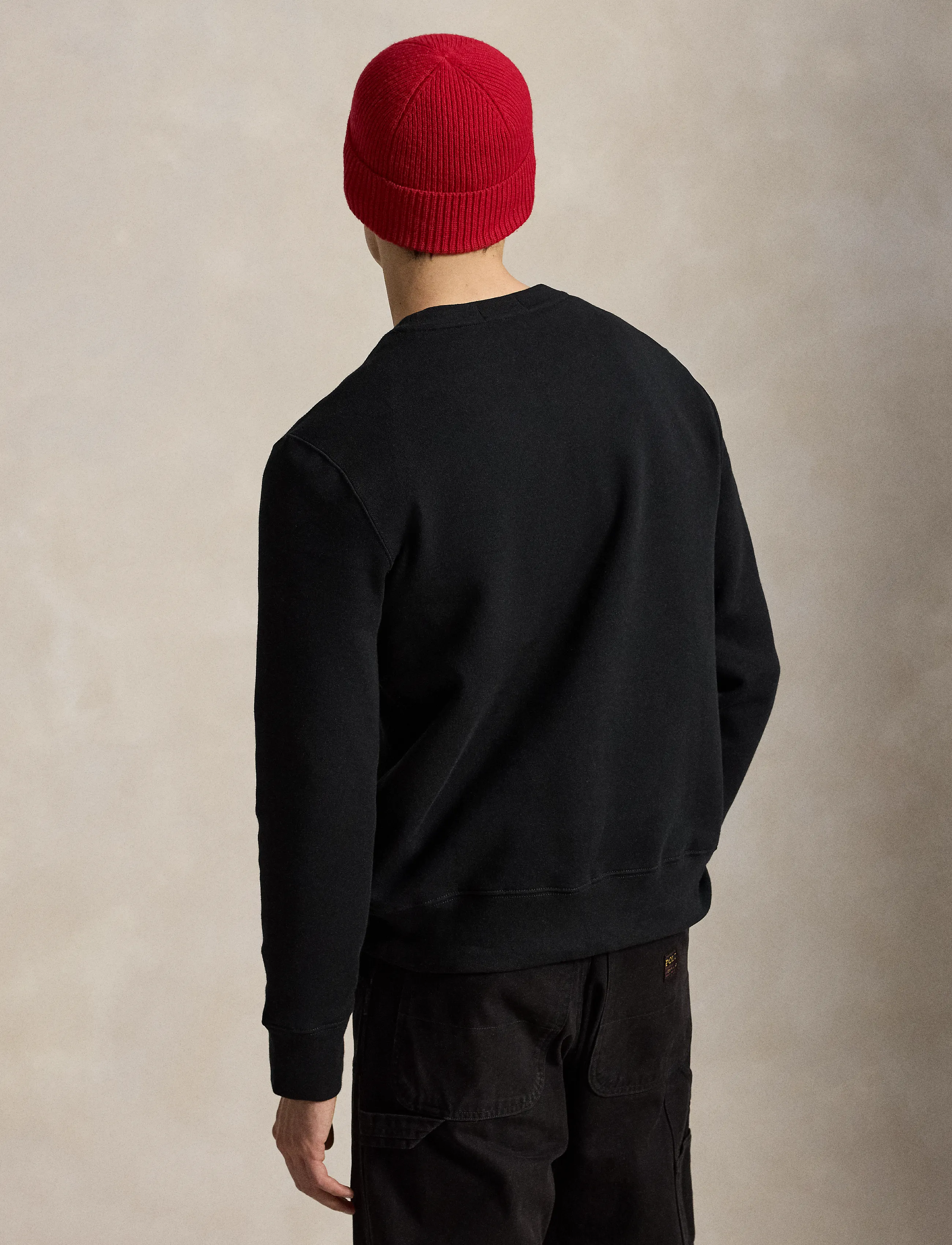 Polo Ralph Lauren Sweatshirt 'SEASONAL FLEECE' herr – bild 3