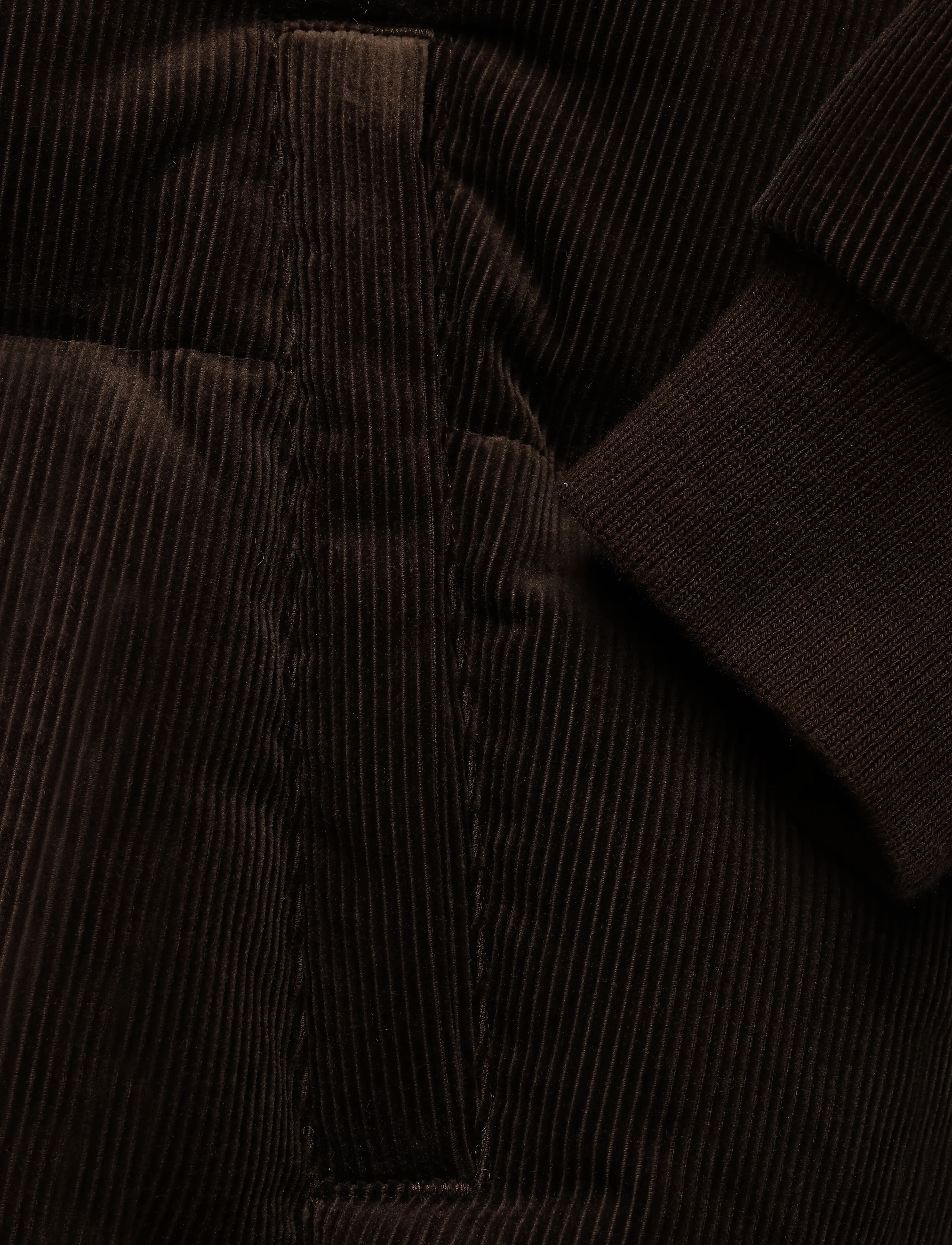 Polo Ralph Lauren - The Wyoming Corduroy Down Jacket - dark beech - 3