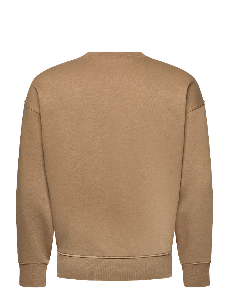 Polo Ralph Lauren - Relaxed Fit Polo Sport Fleece Sweatshirt - shop efter anledning - desert khaki - 2