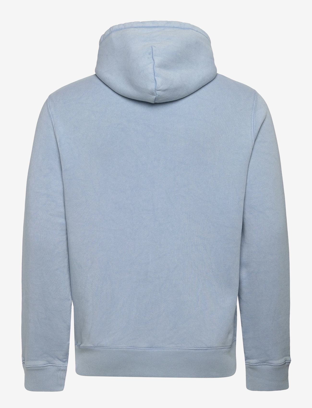 Polo Ralph Lauren - Polo Bear Garment-Dyed Fleece Hoodie - kapuutsiga dressipluusid - southport blue/he - 1