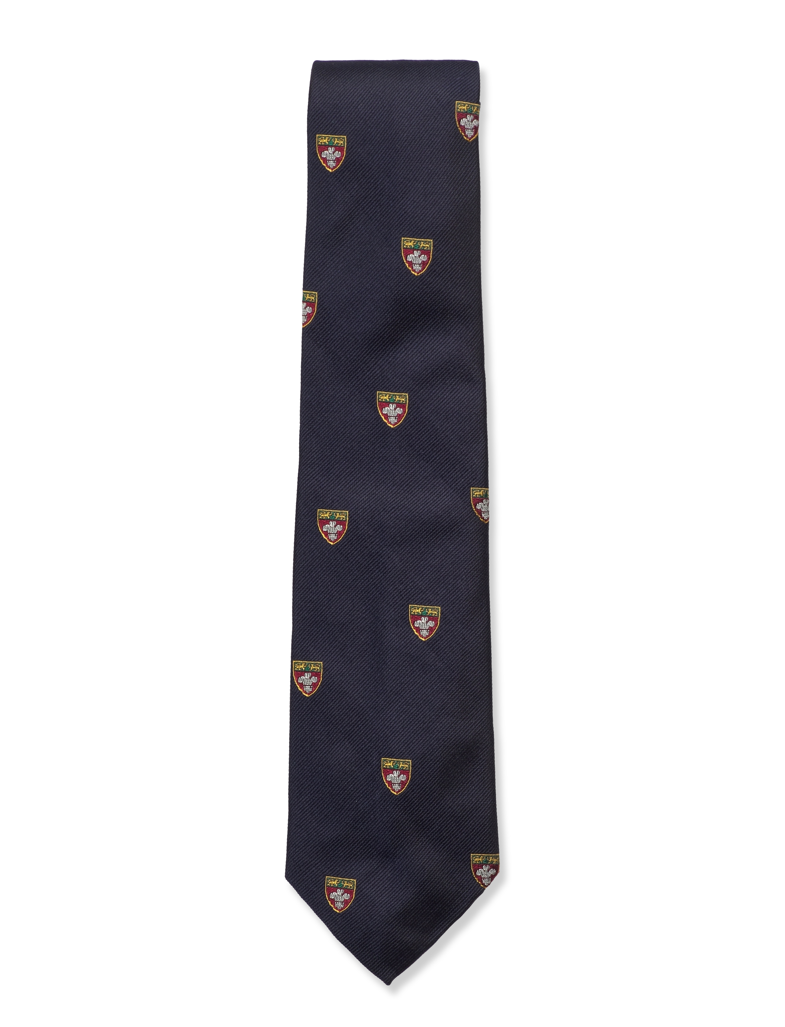 Polo Ralph Lauren HERALDIC CLUB-UNIVERSITY - Akcesoria - NAVY / navy