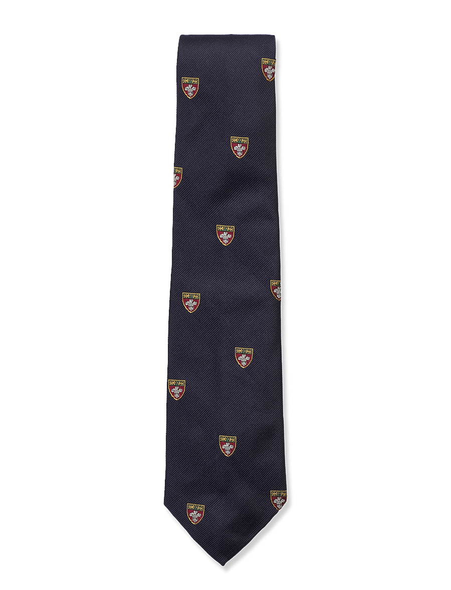 Polo Ralph Lauren - HERALDIC CLUB-UNIVERSITY - krawatten - navy - 0