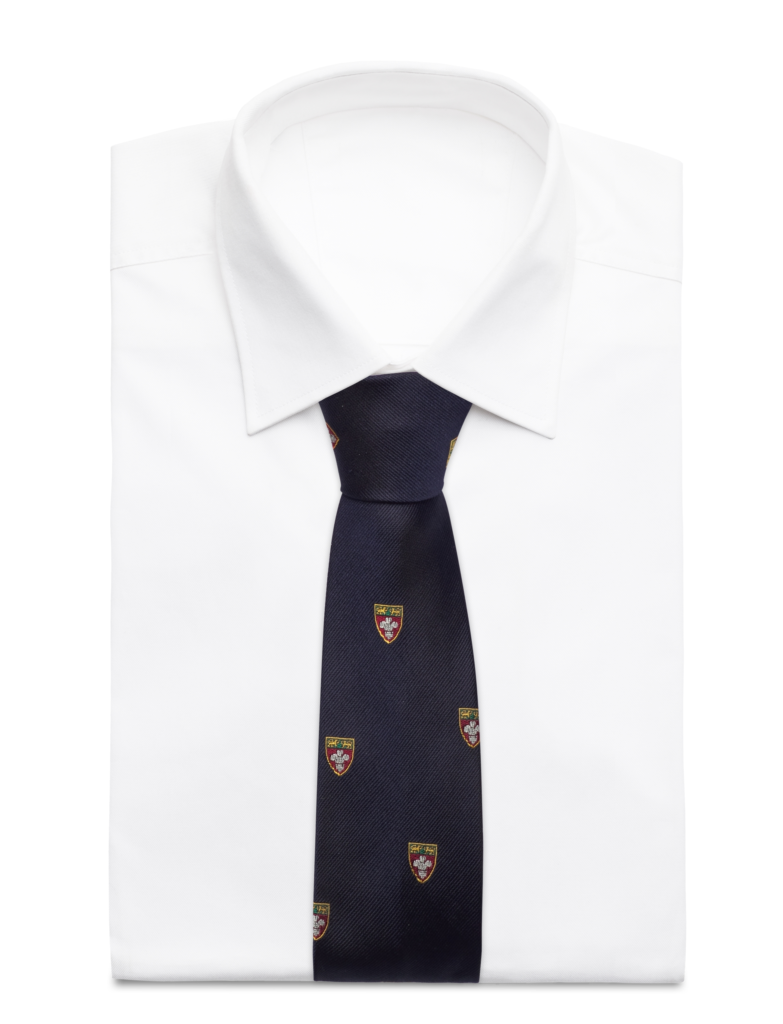 Polo Ralph Lauren - HERALDIC CLUB-UNIVERSITY - krawatten - navy - 1