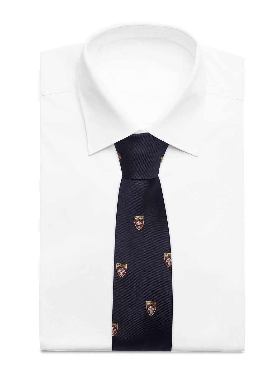 Polo Ralph Lauren - HERALDIC CLUB-UNIVERSITY - krawatten - navy - 1