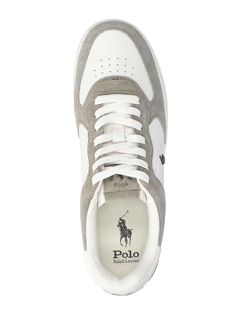 Polo Ralph Lauren - Masters Court Leather-Suede Sneaker - niedriger schnitt - earth grey/deckwa - 3