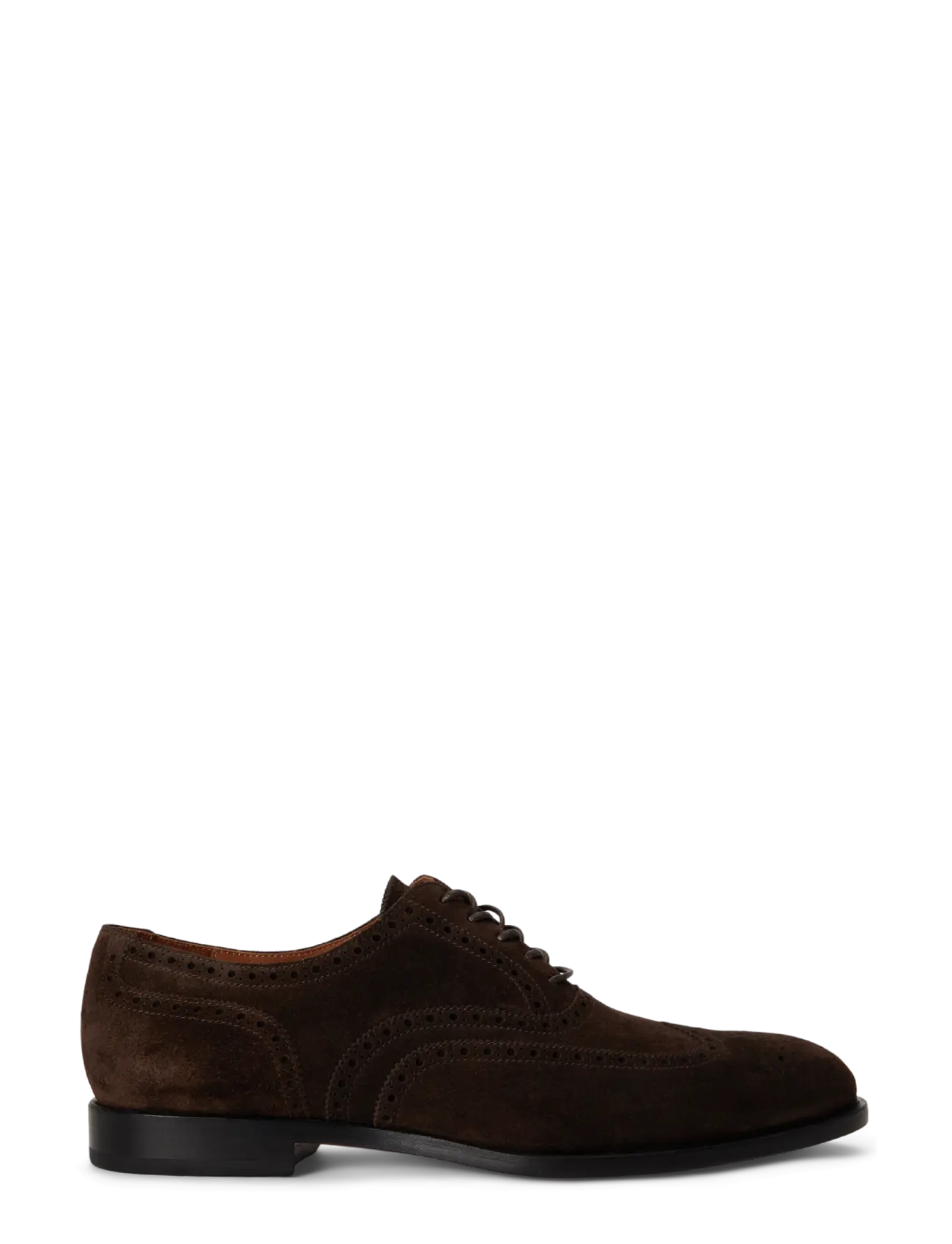 Polo Ralph Lauren Owen Suede Wingtip Shoe - Schuhe - DARK CHOCOLATE / brown