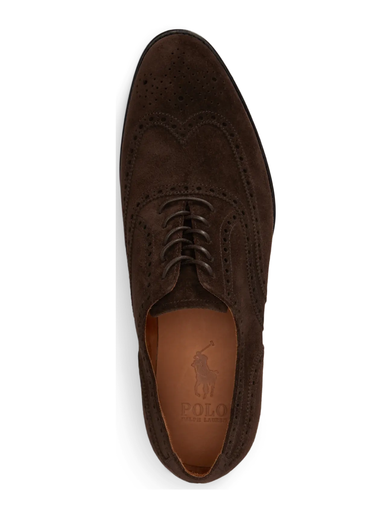 Polo Ralph Lauren - Owen Suede Wingtip Shoe - lackschuhe - dark chocolate - 2