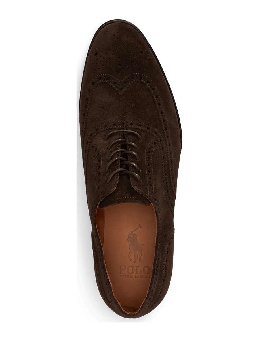 Polo Ralph Lauren - Owen Suede Wingtip Shoe - lackschuhe - dark chocolate - 2