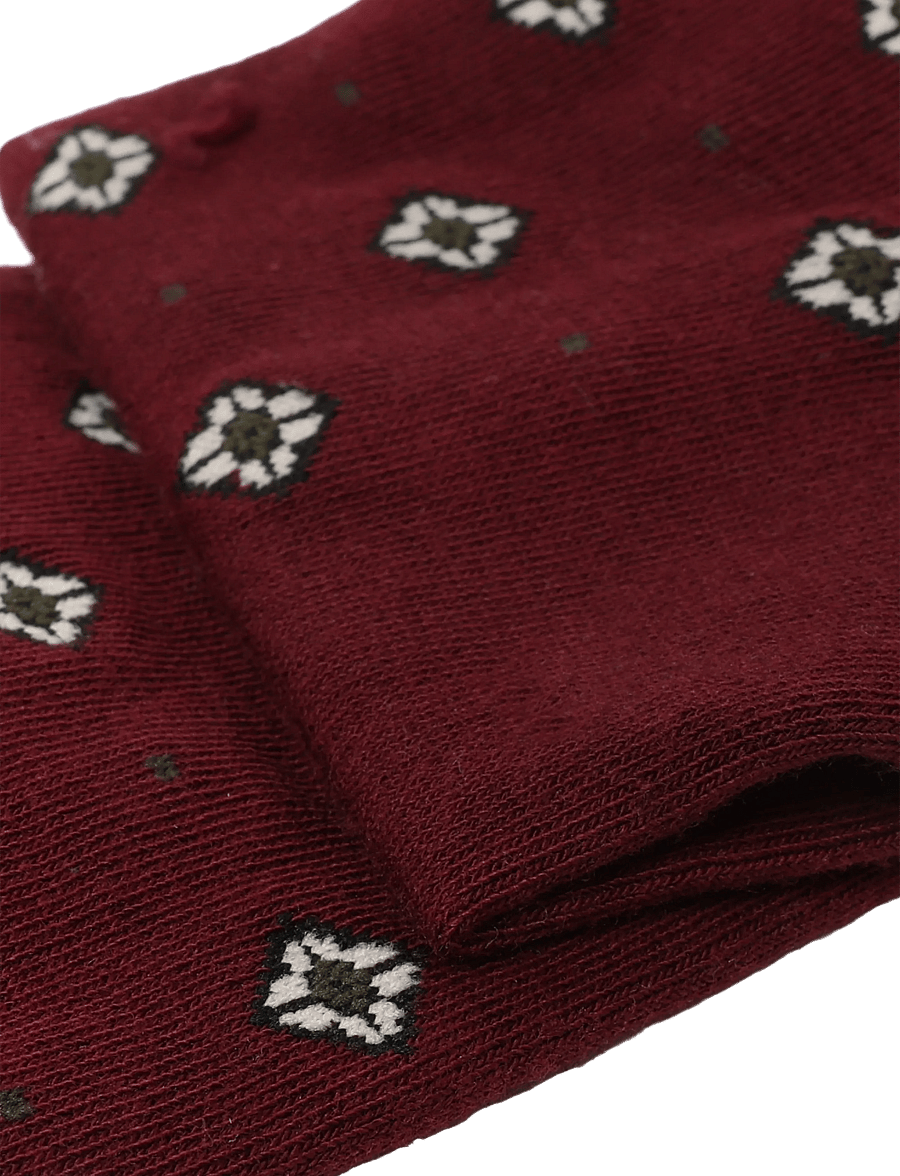 Polo Ralph Lauren - BCI COTTON-2P CTN FLRD-CRW-2PK - crew socks - navy wine - 2
