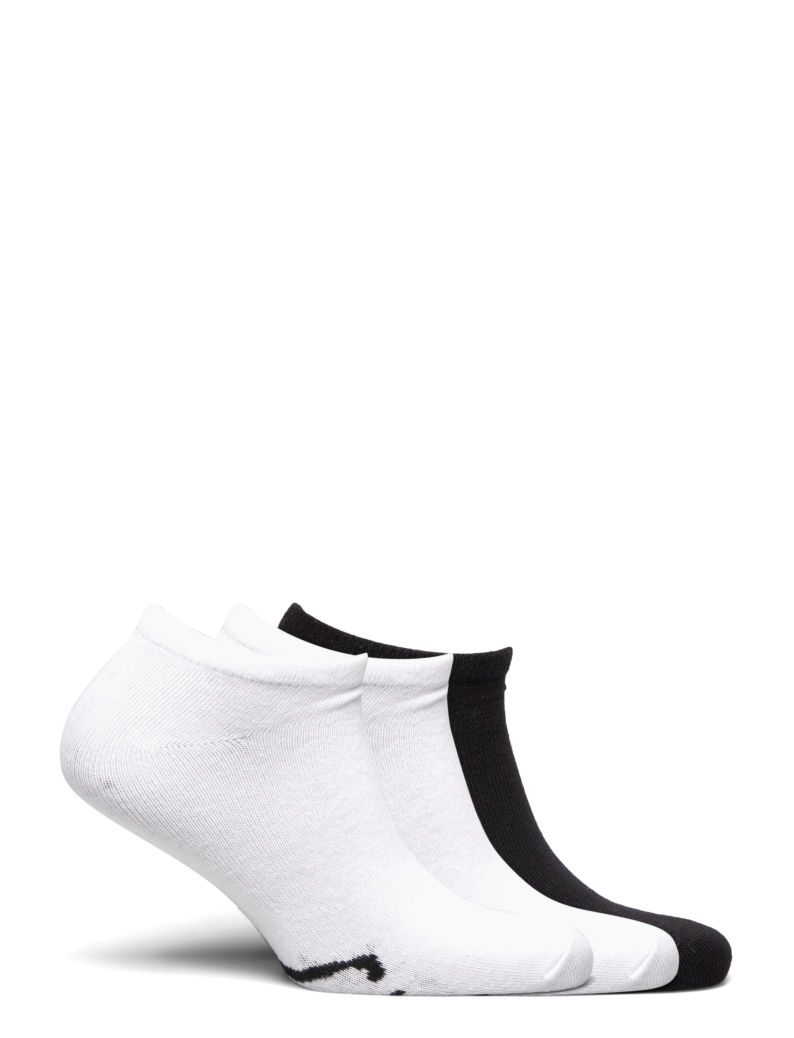 Polo Ralph Lauren - Big Pony Sock 3-Pack - sokkide mitmikpakk - white - 1