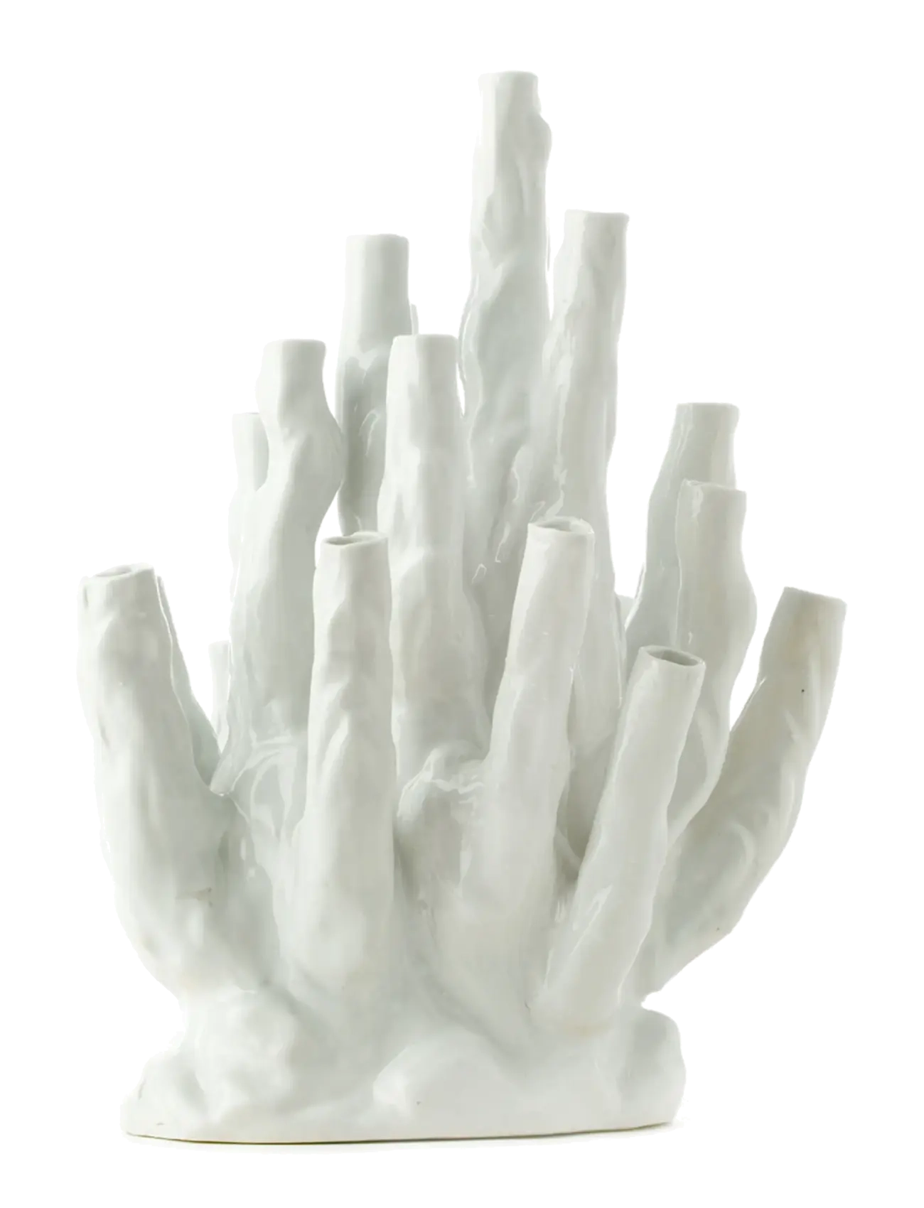 POLSPOTTEN Vase coral 20-tulips white - Pakkumised - WHITE / white