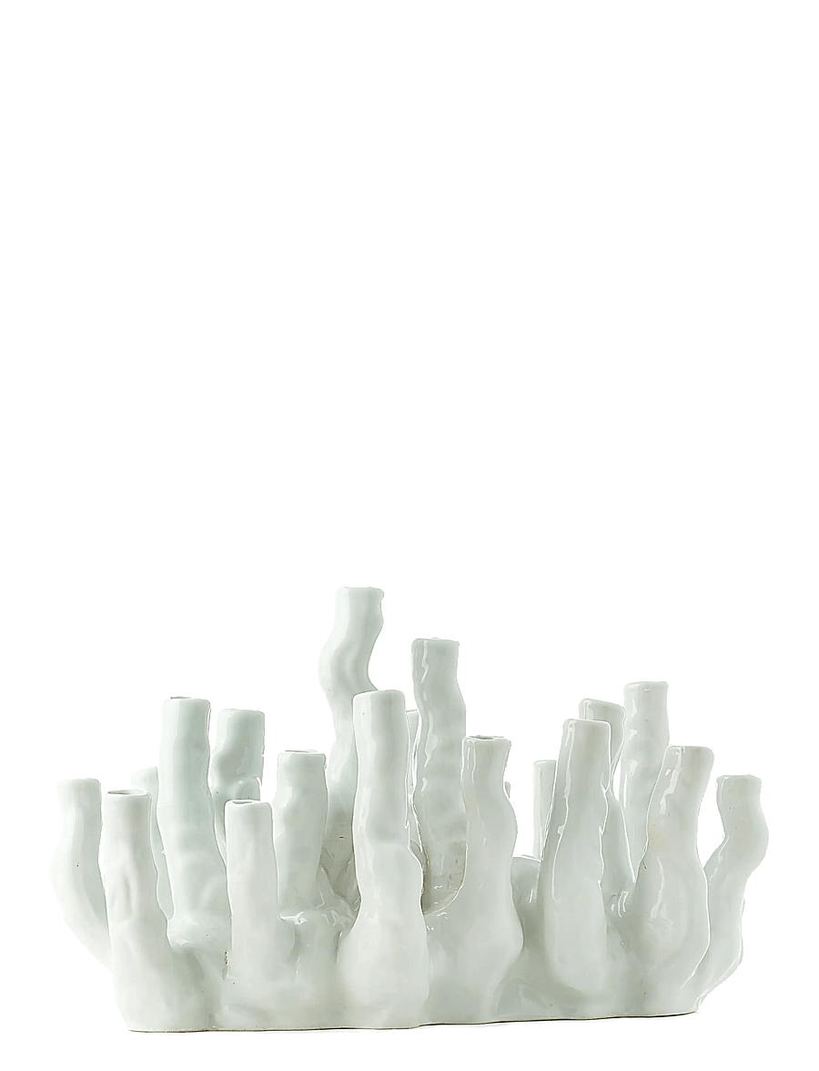 POLSPOTTEN - Vase coral reef white - white - 1