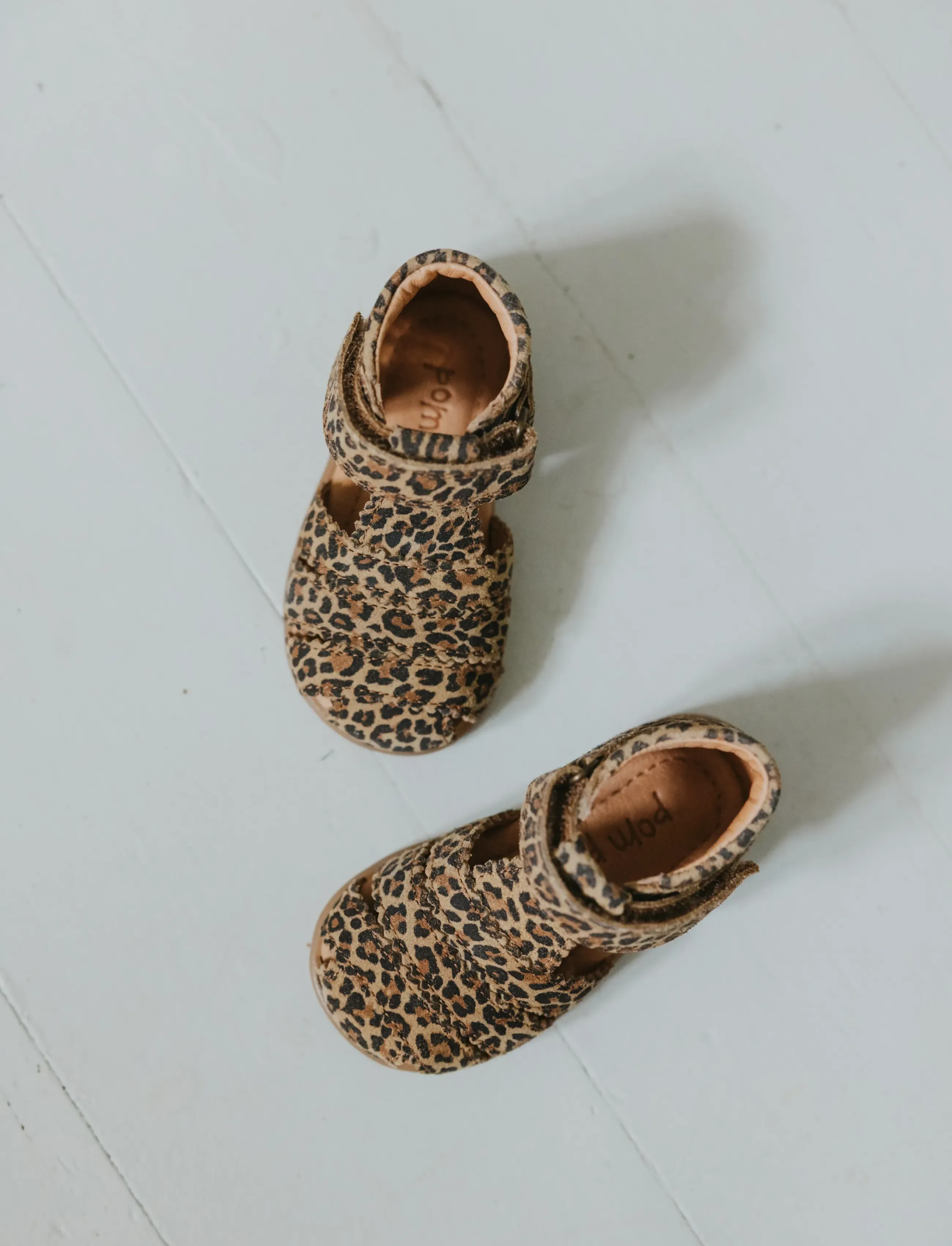 Pom Pom - PMPi Starter Scallop Sandal - begyndersko - leopard - 4