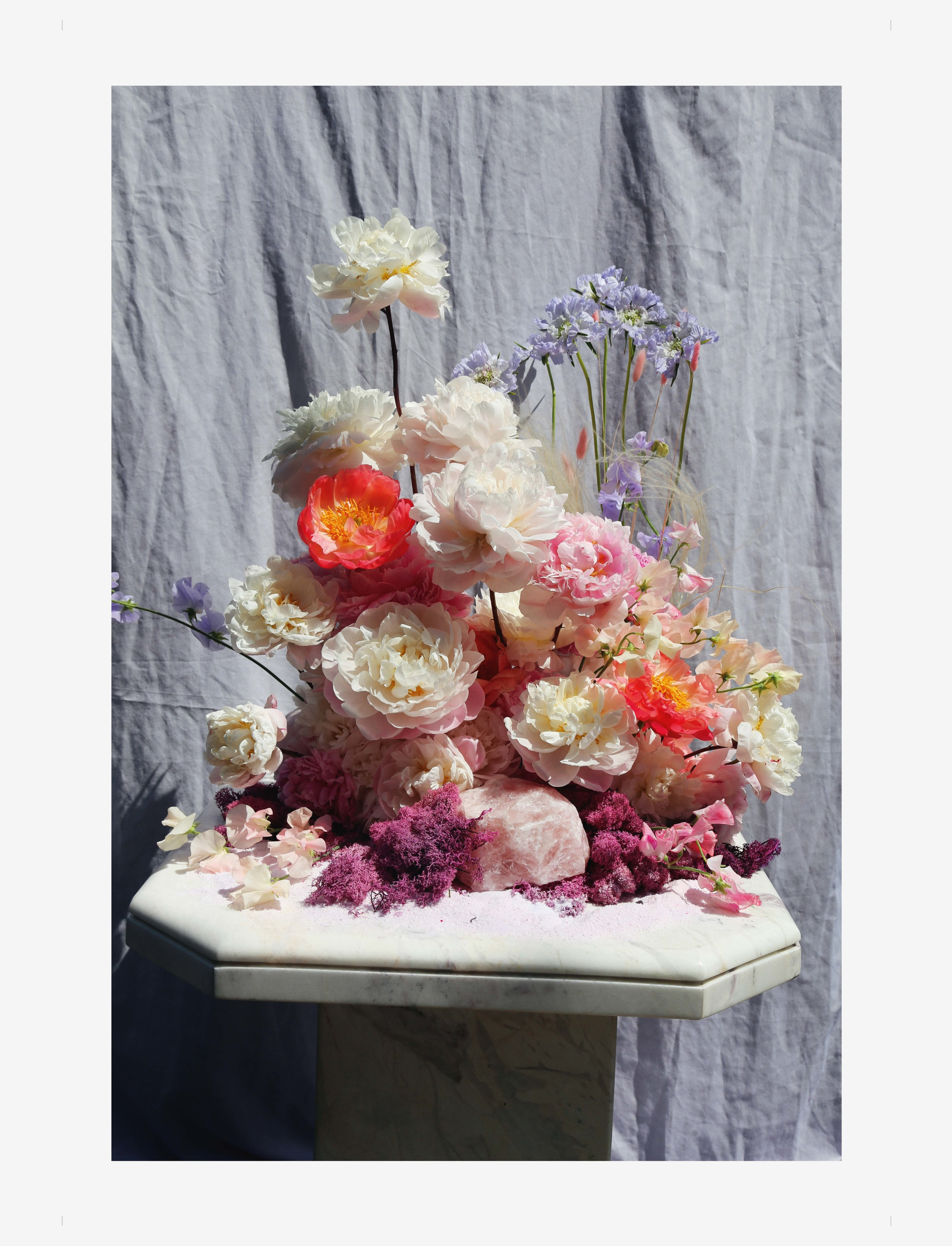 Poppykalas Flowers For Your Lungs #4 - Botāniskais - MULTI-COLORED / multi