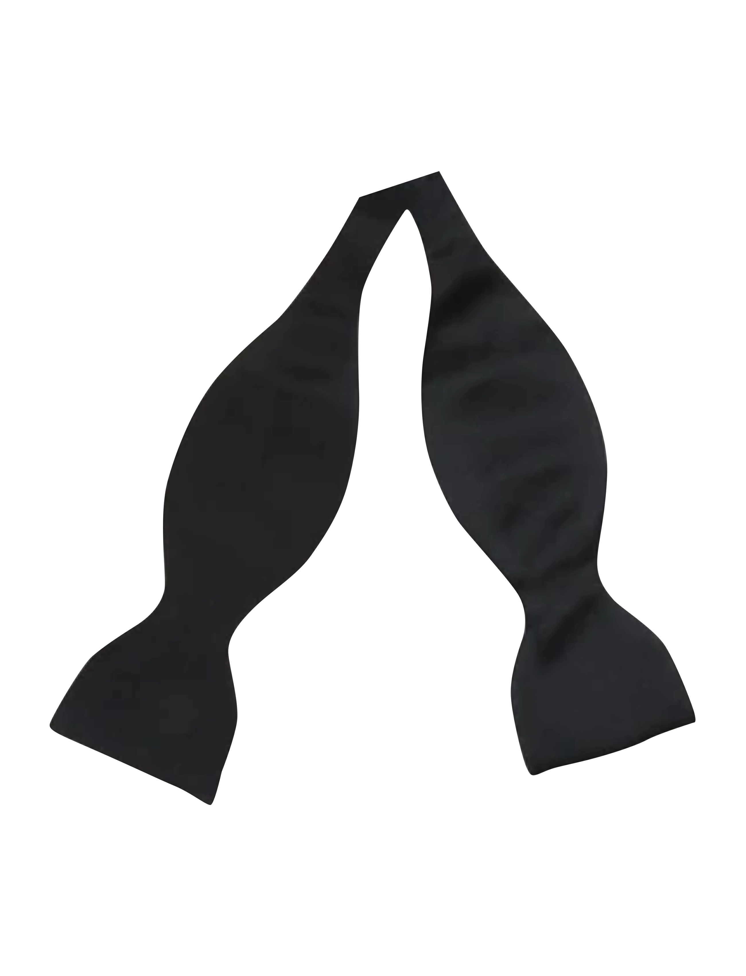 Portia 1924 Polyester Butterfly, One Size, Accessories, Schwarz - Bow Ties, Männerswear