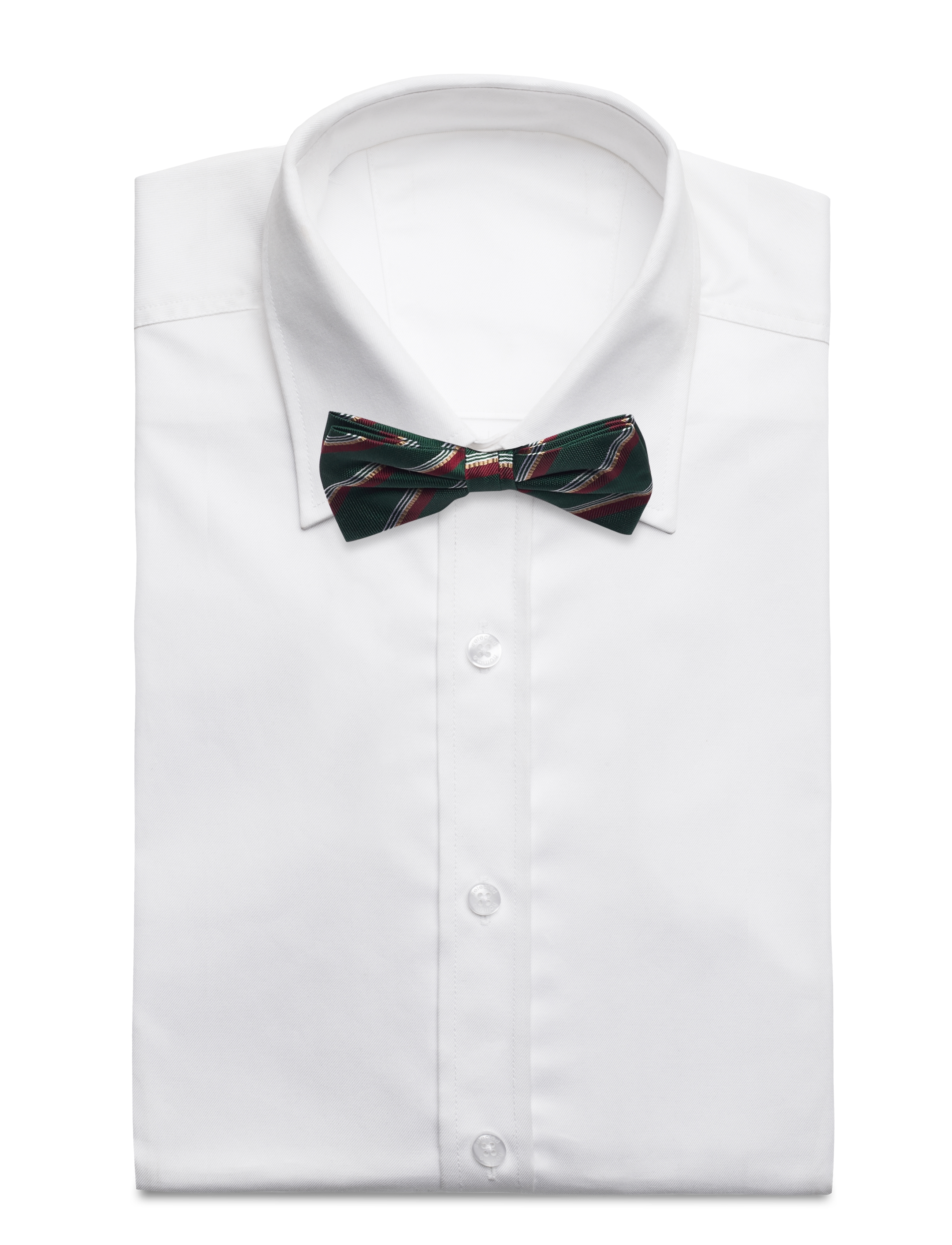 Portia 1924 - Silk Bow Tie - green - 2