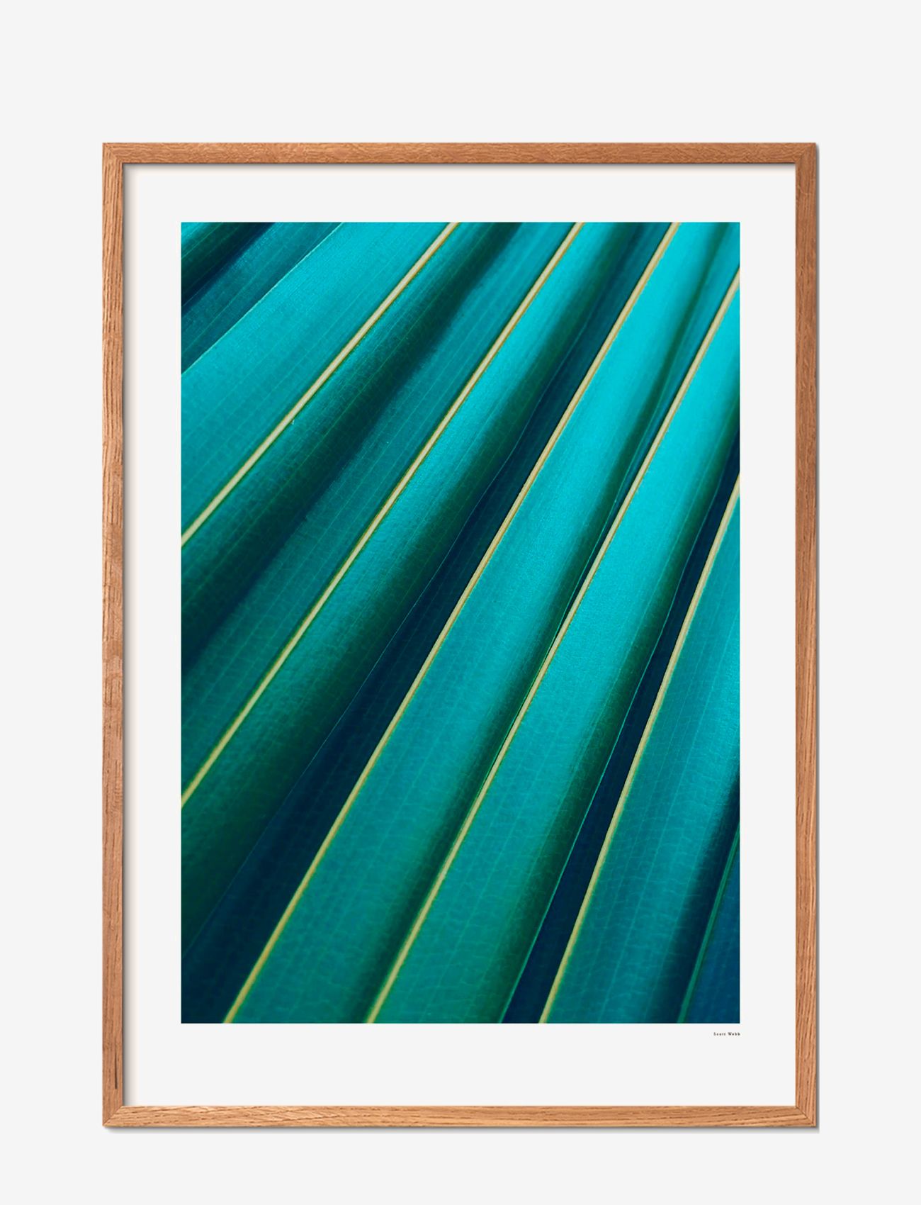 Poster & Frame Leaf, Photographs, Blå, Str: 29.7X42CM