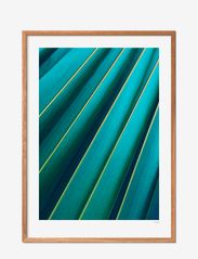 Poster & Frame - leaf - laveste priser - multi-colored - 0