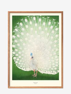 peacock-1, Poster & Frame
