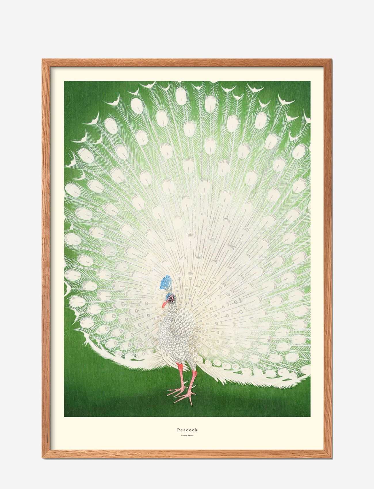 Poster & Frame Peacock-1, Dyr, Grøn, Str: 70X100CM