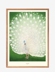 Poster & Frame - peacock-1 - laveste priser - multi-colored - 0