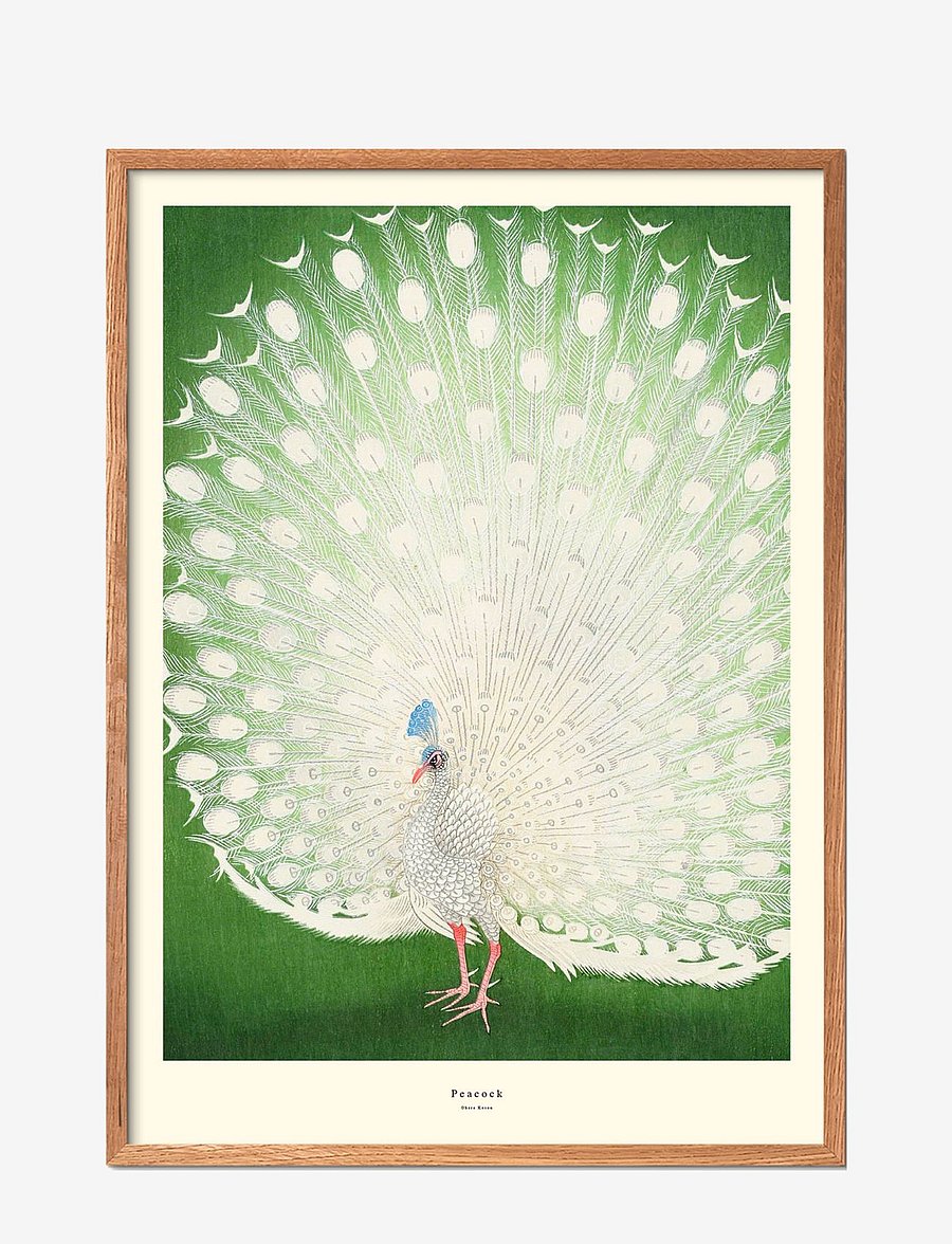 Poster & Frame - peacock-1 - loomad - multi-colored - 1