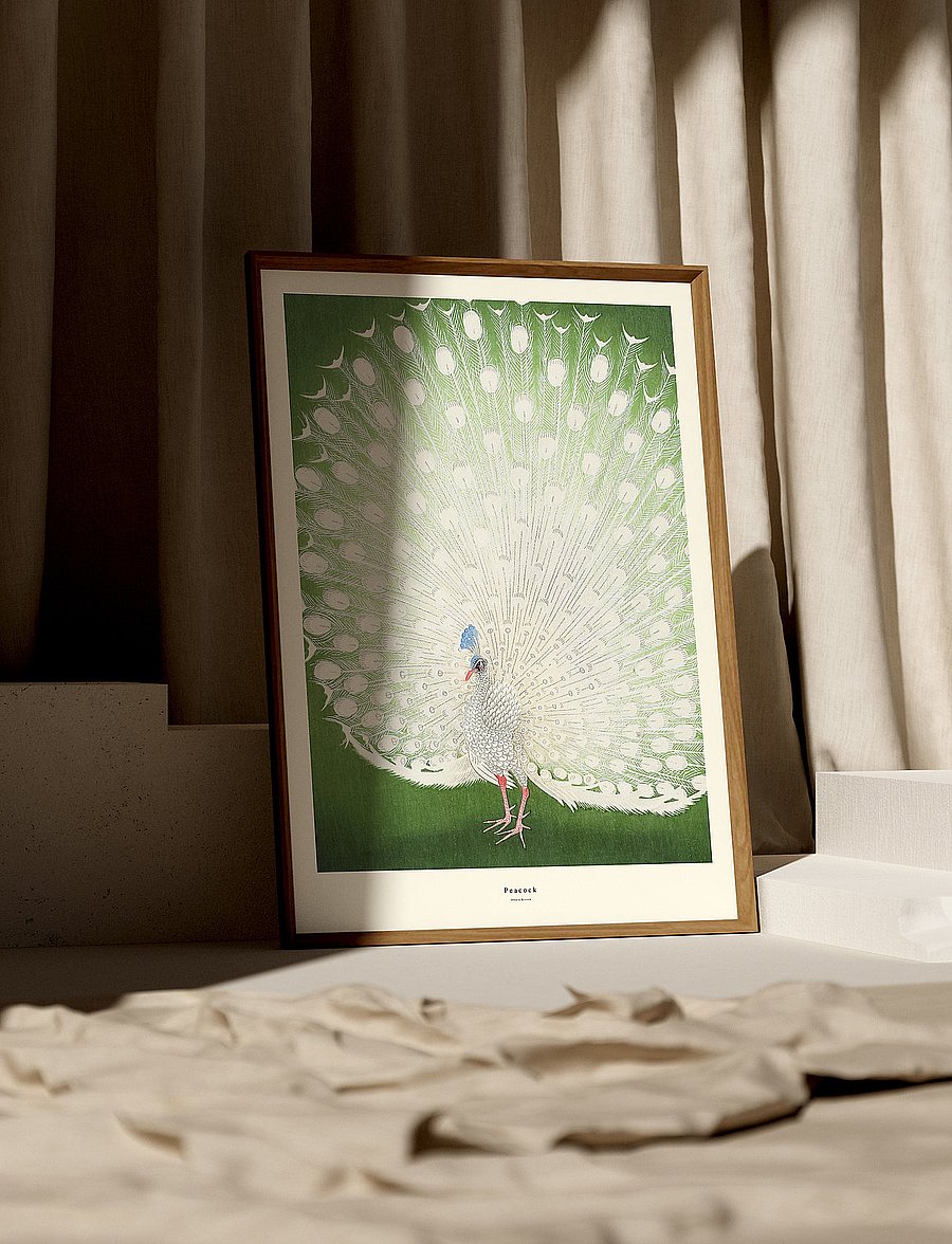 Poster & Frame - peacock-1 - loomad - multi-colored - 0