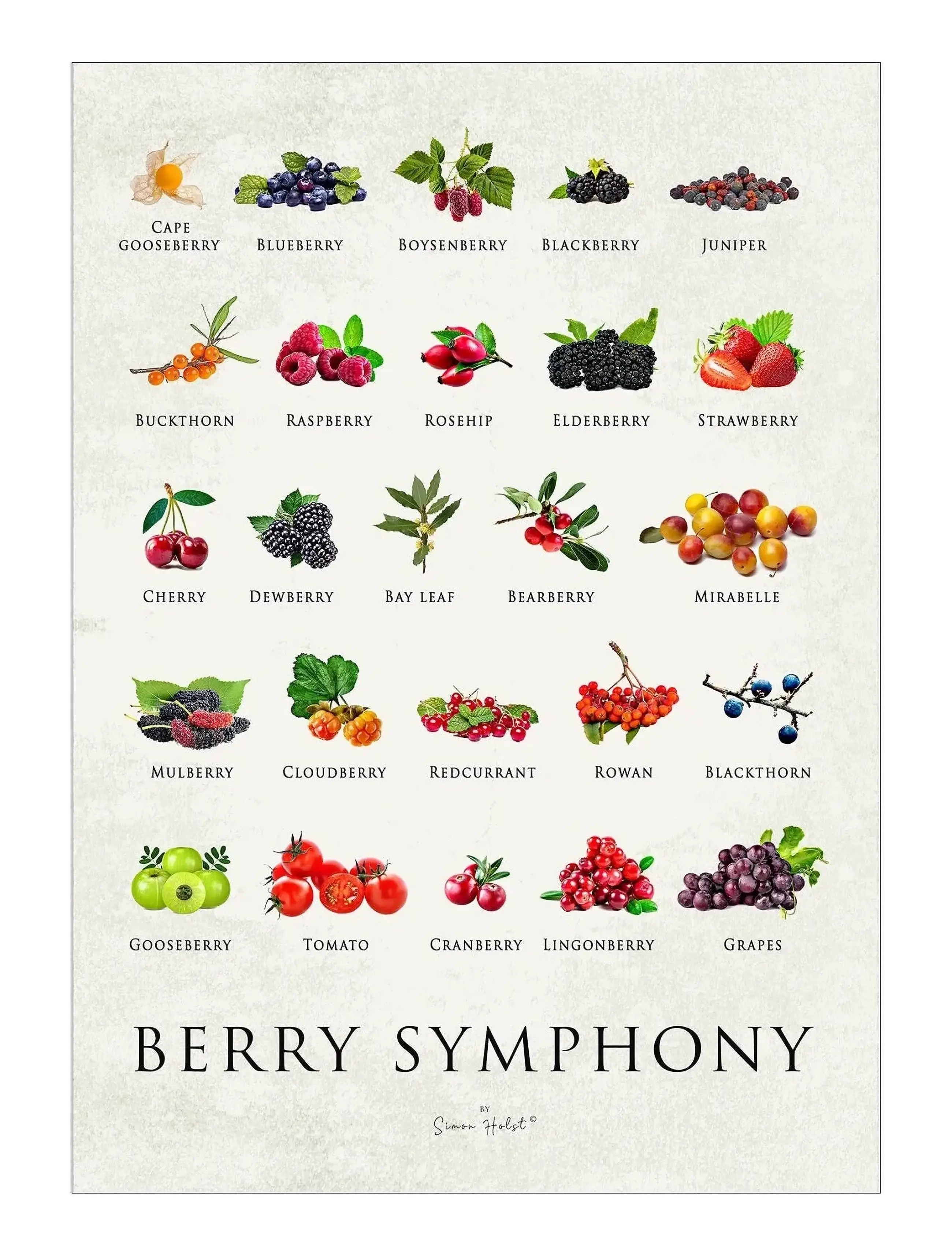 Poster & Frame Simon Holst Berry Symphony, Food, Multi/mønstret, Str: 30X40CM